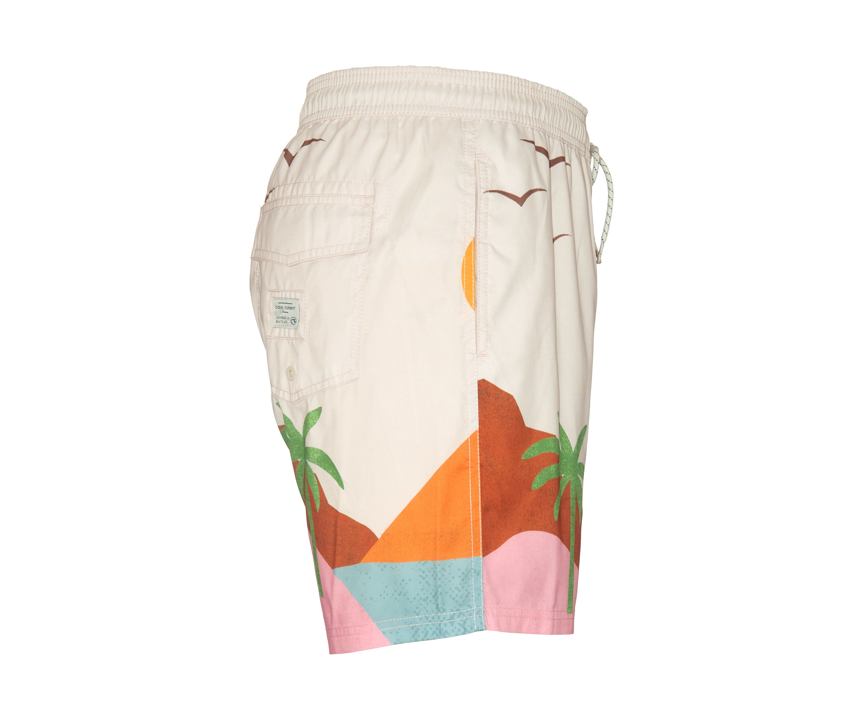 Vista Volley Swim Trunks
