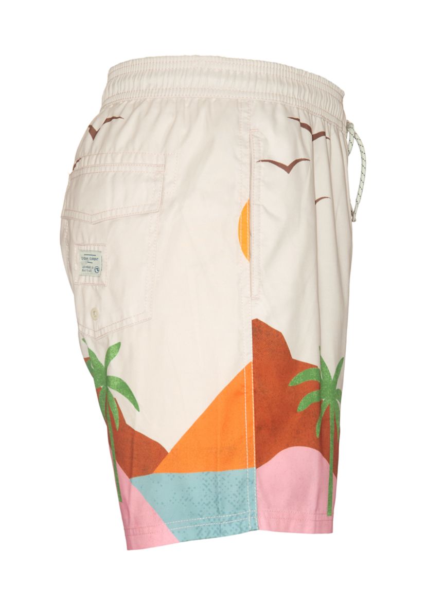 Vista Volley Swim Trunks
