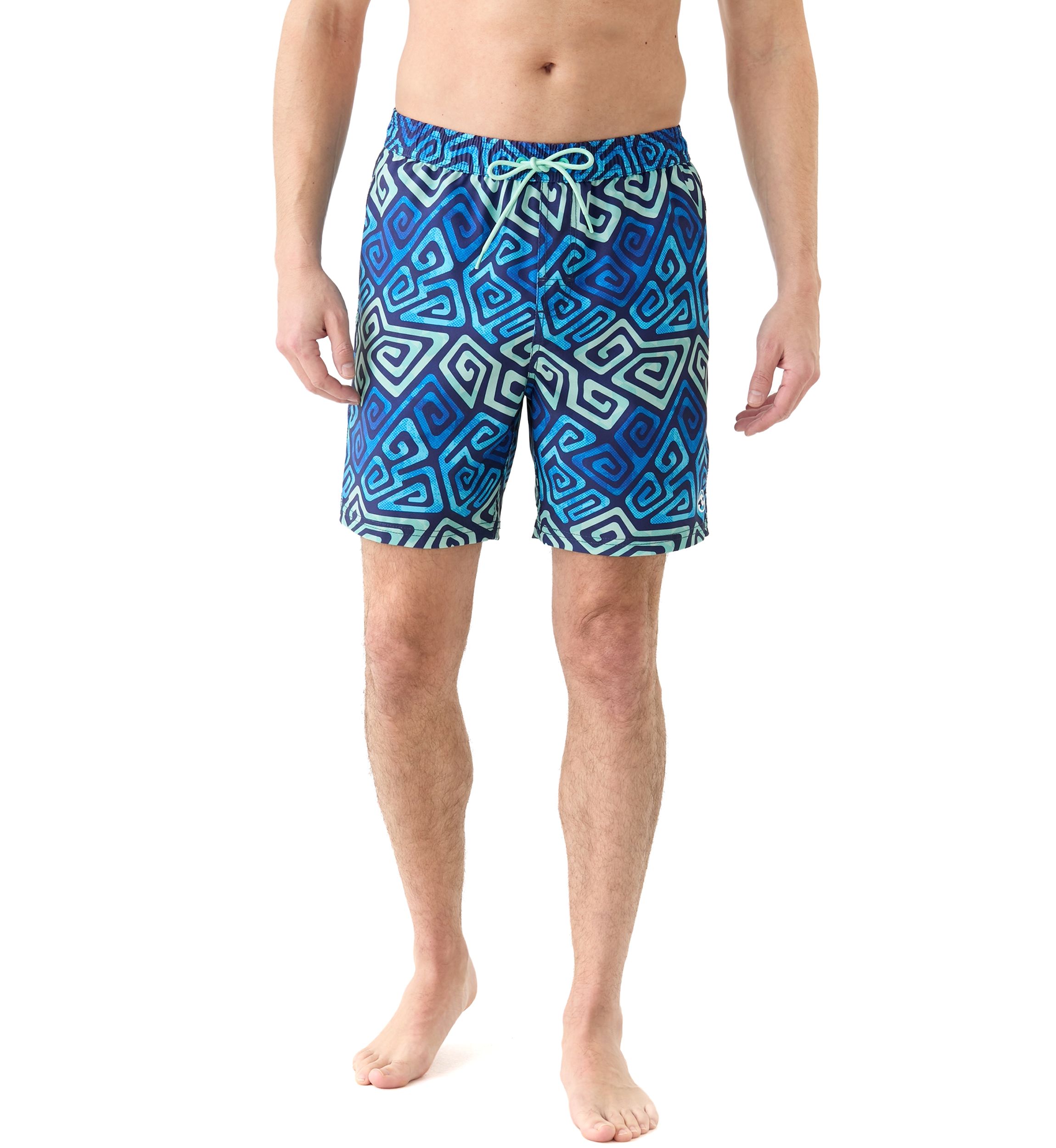 Printed Volley Shorts