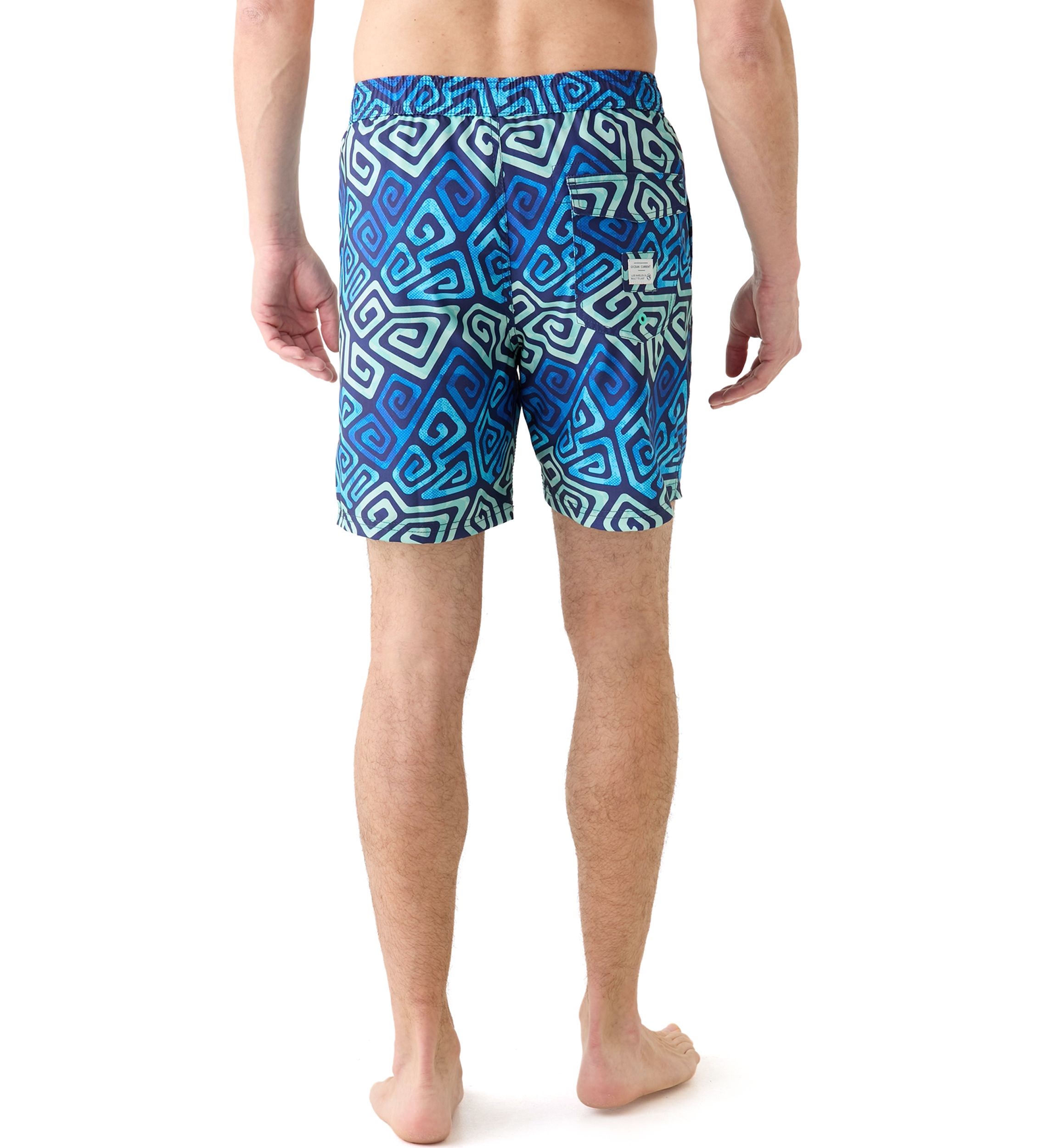 Printed Volley Shorts