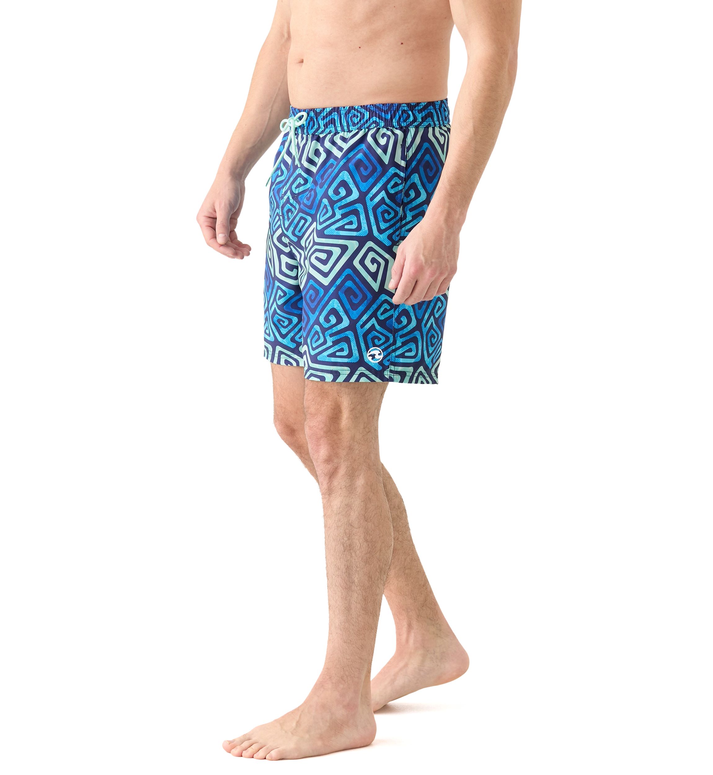 Printed Volley Shorts