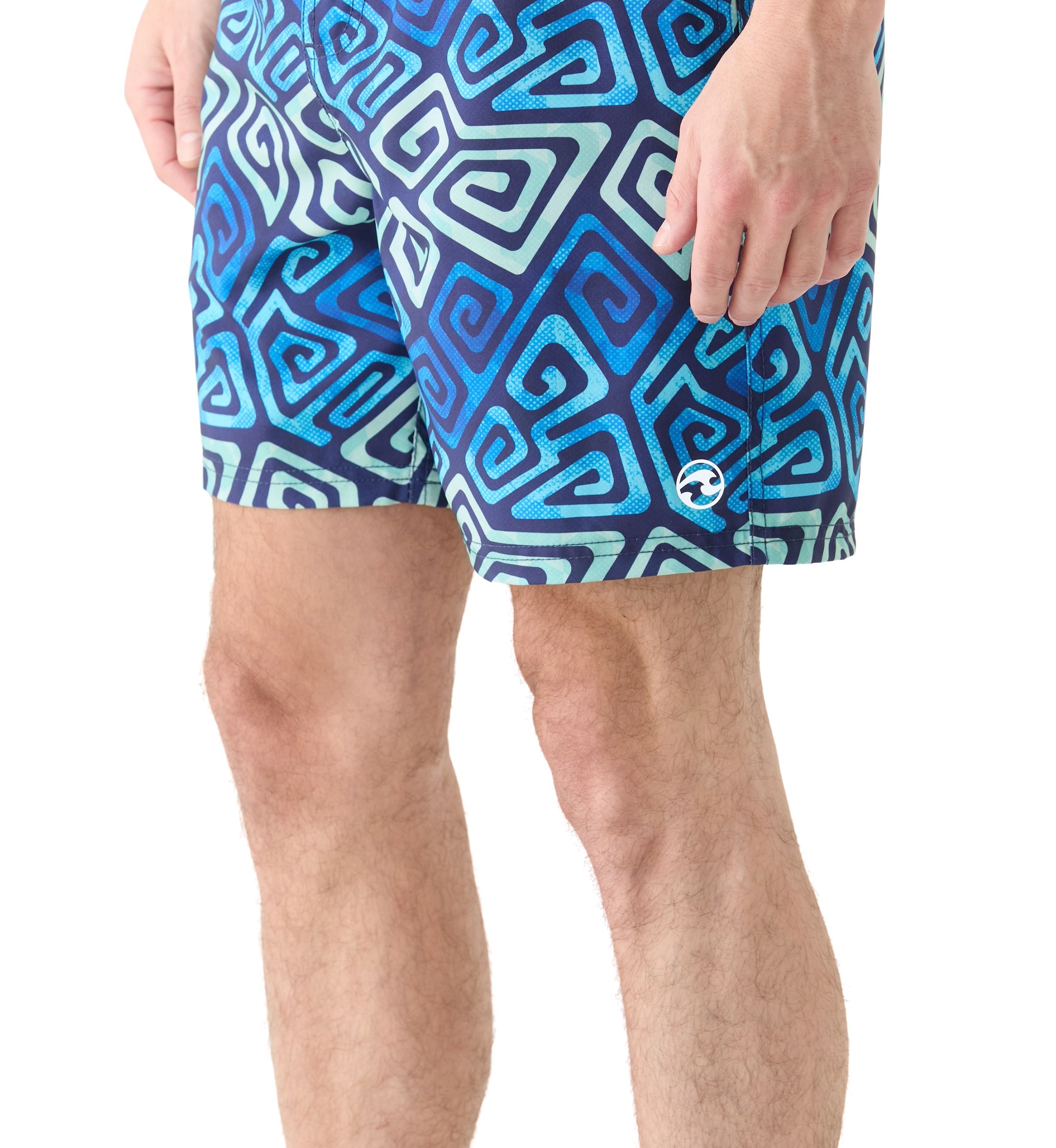 Printed Volley Shorts
