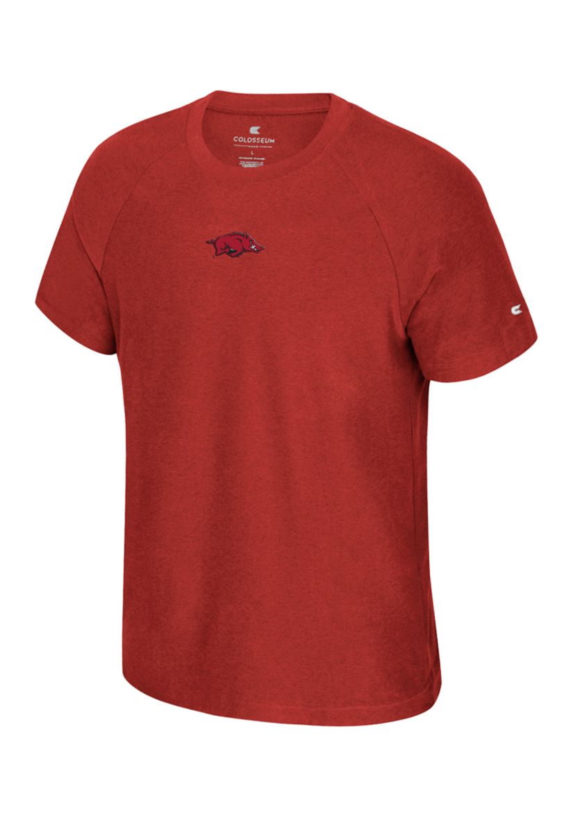 NCAA Arkansas Razorbacks Raglan Graphic T-Shirt 