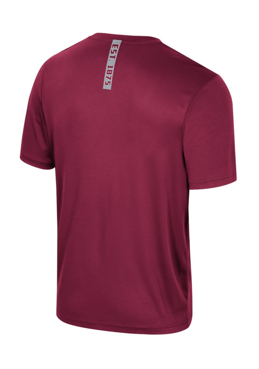 NCAA Alabama A&M Bulldogs Short Sleeve Graphic T-Shirt