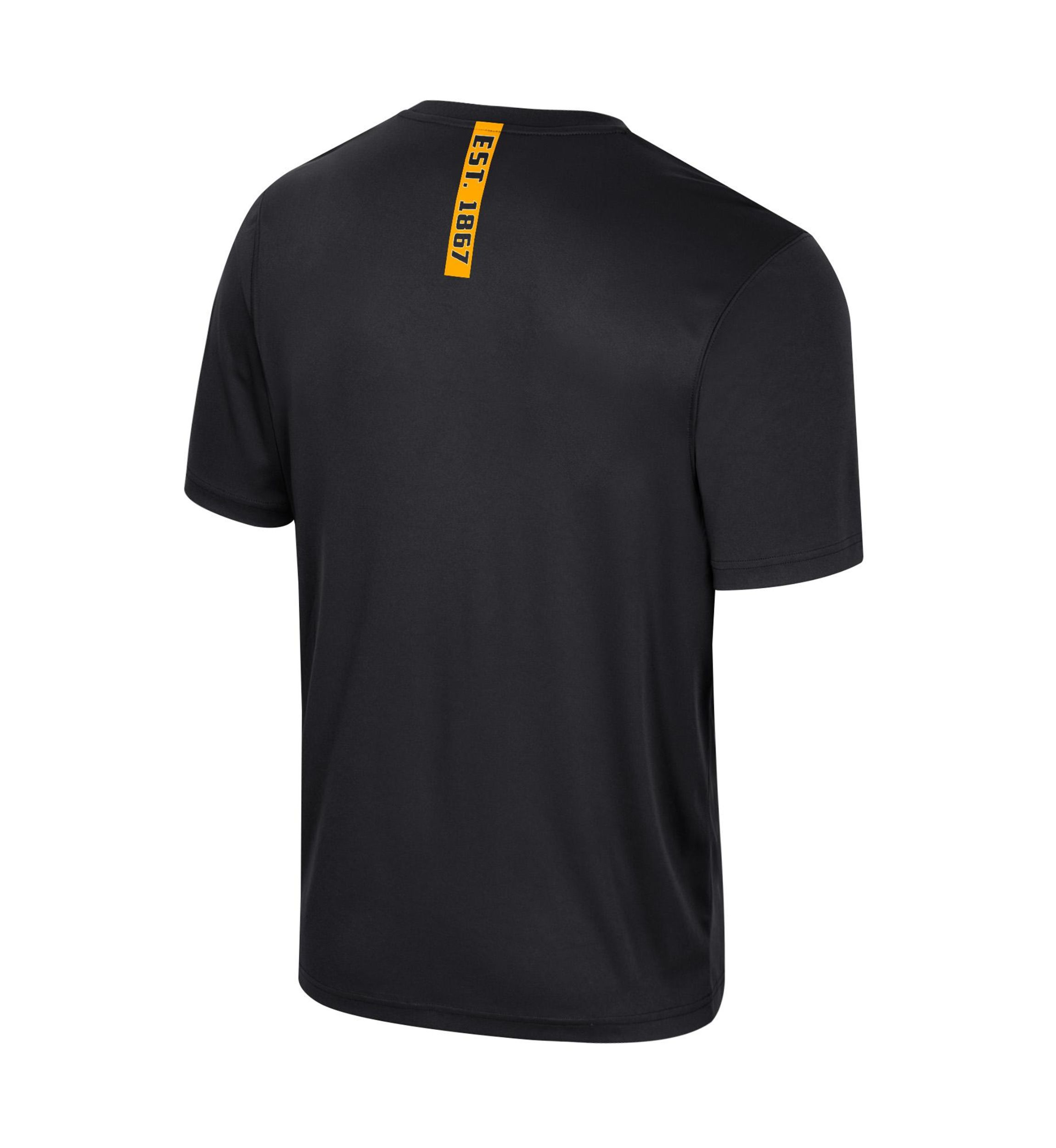 NCAA Alabama State Hornets Graphic T-Shirt