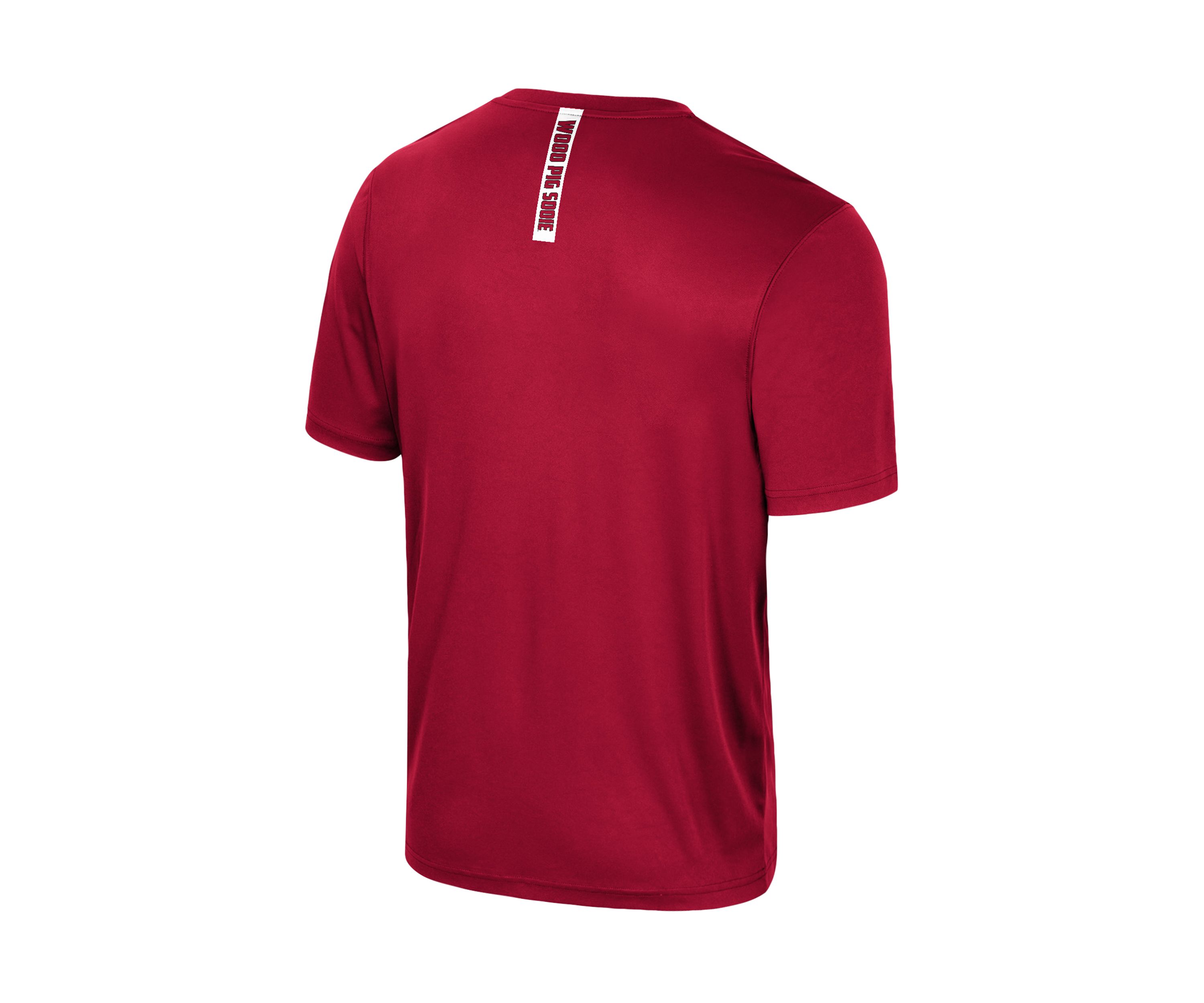 NCAA Arkansas Razorbacks Short Sleeve Graphic T-Shirt