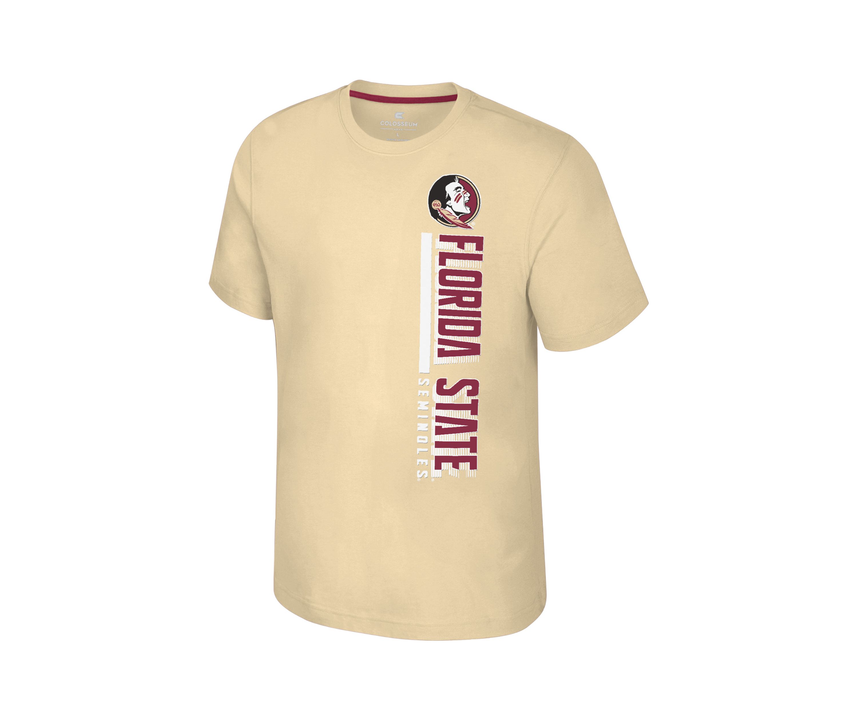 NCAA Florida State Seminoles Short Sleeve Bar Graphic T-Shirt