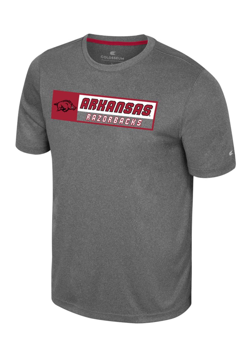 NCAA Arkansas Razorbacks Short Sleeve Team Logo Graphic T-Shirt 