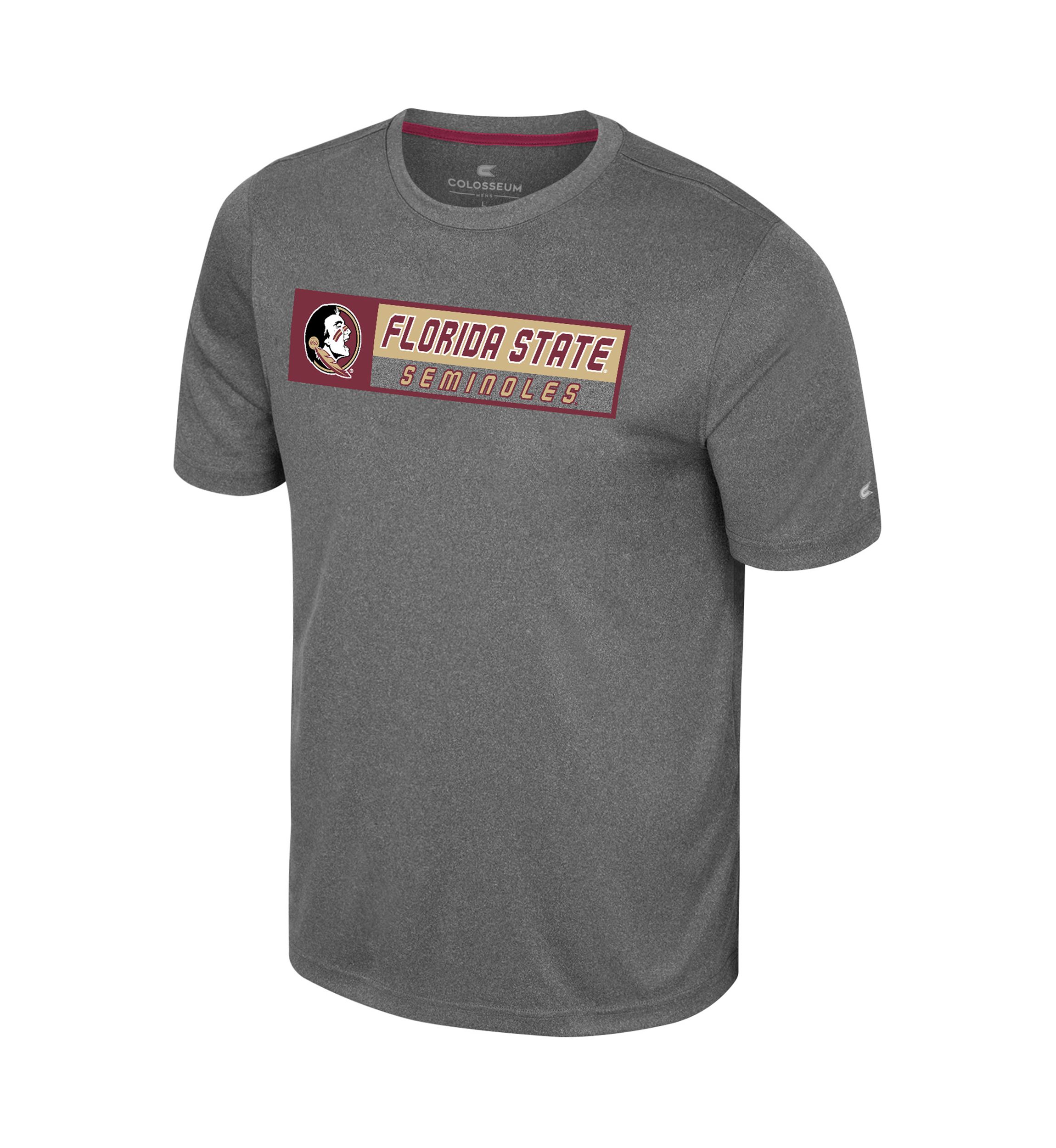NCAA Florida State Seminoles Short Sleeve Team Logo Graphic T-Shirt 