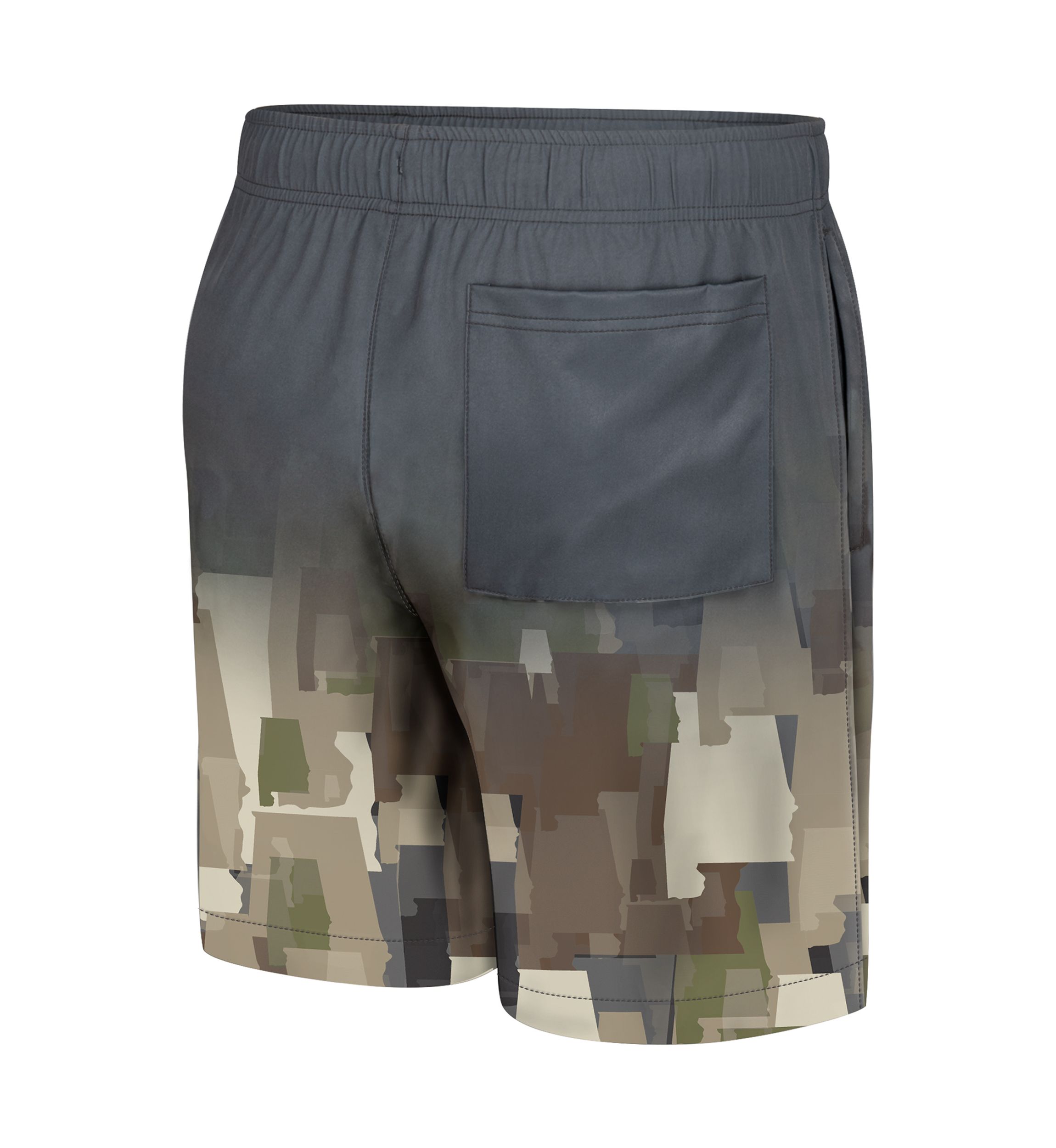 Mens State Pride Swim Shorts
