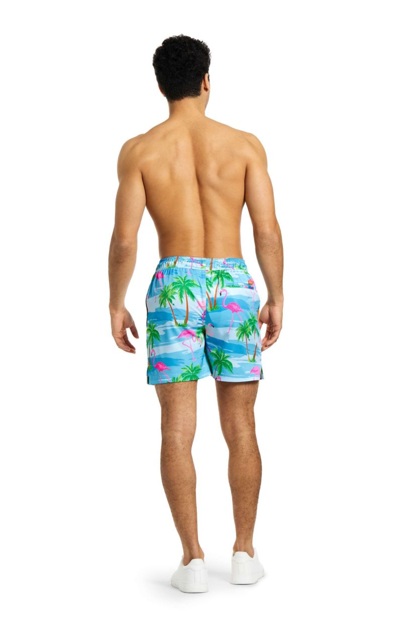 Flaminguy Swimshort