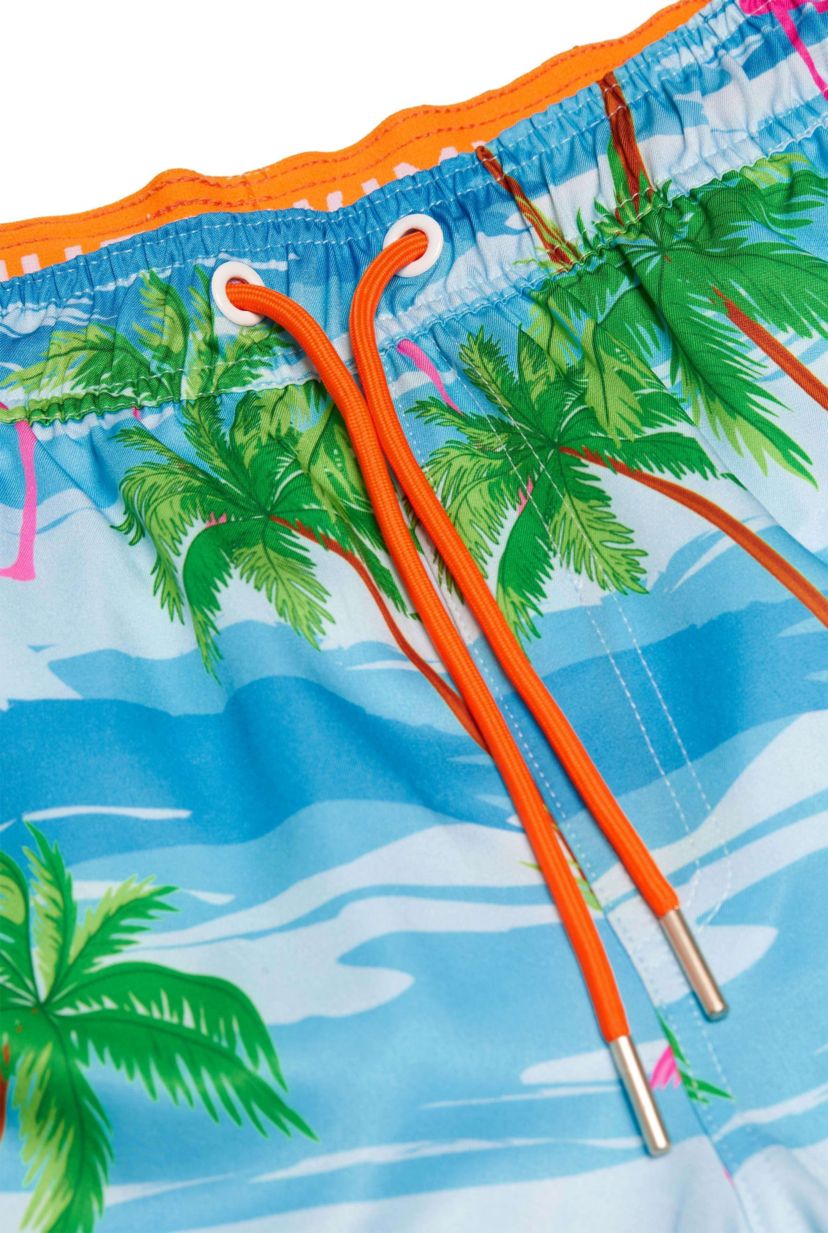 Flaminguy Swimshort
