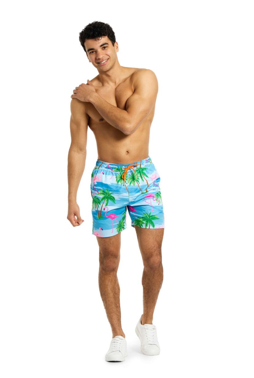 Flaminguy Swimshort