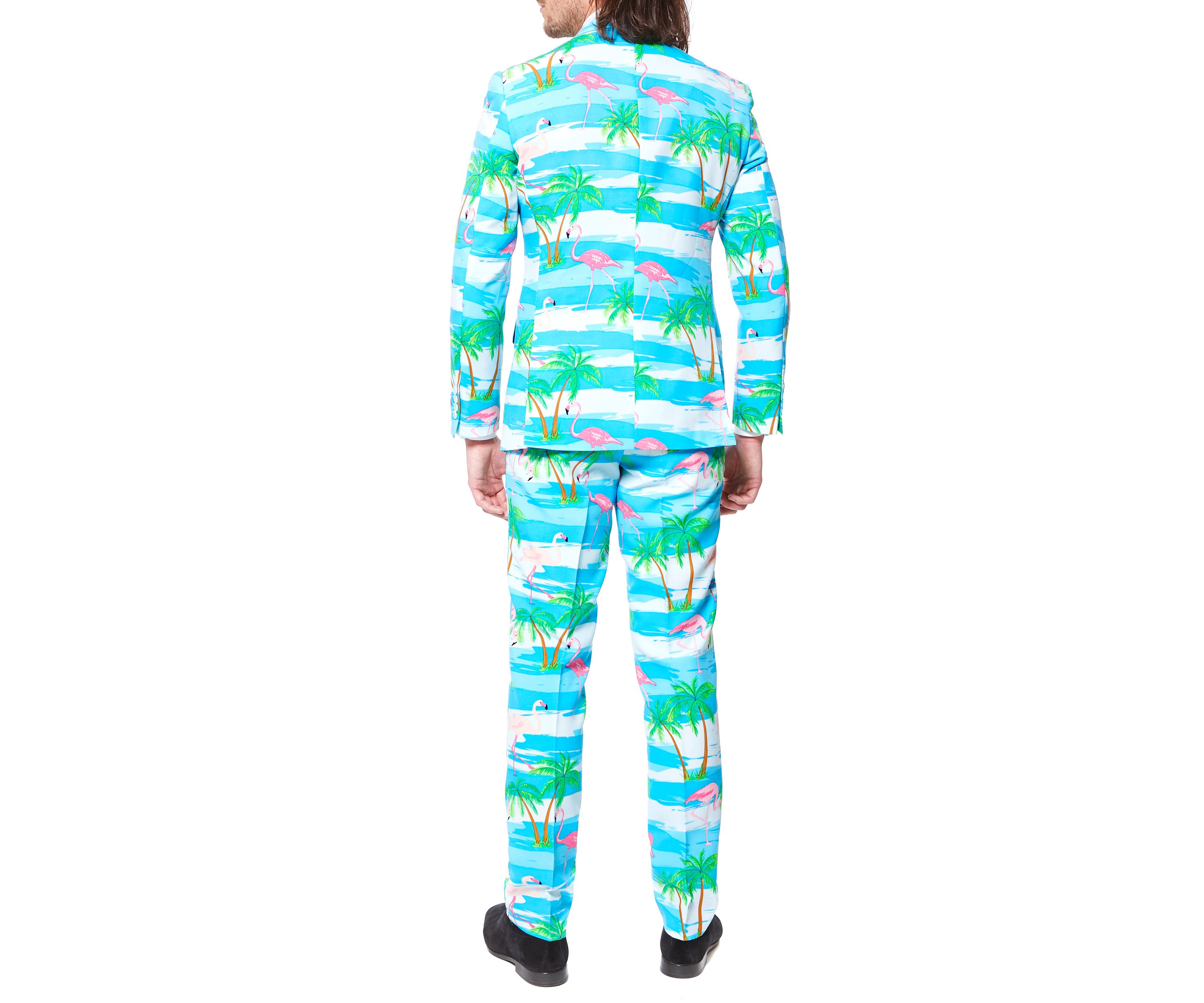 Flaminguy  2 Piece Suit + Tie