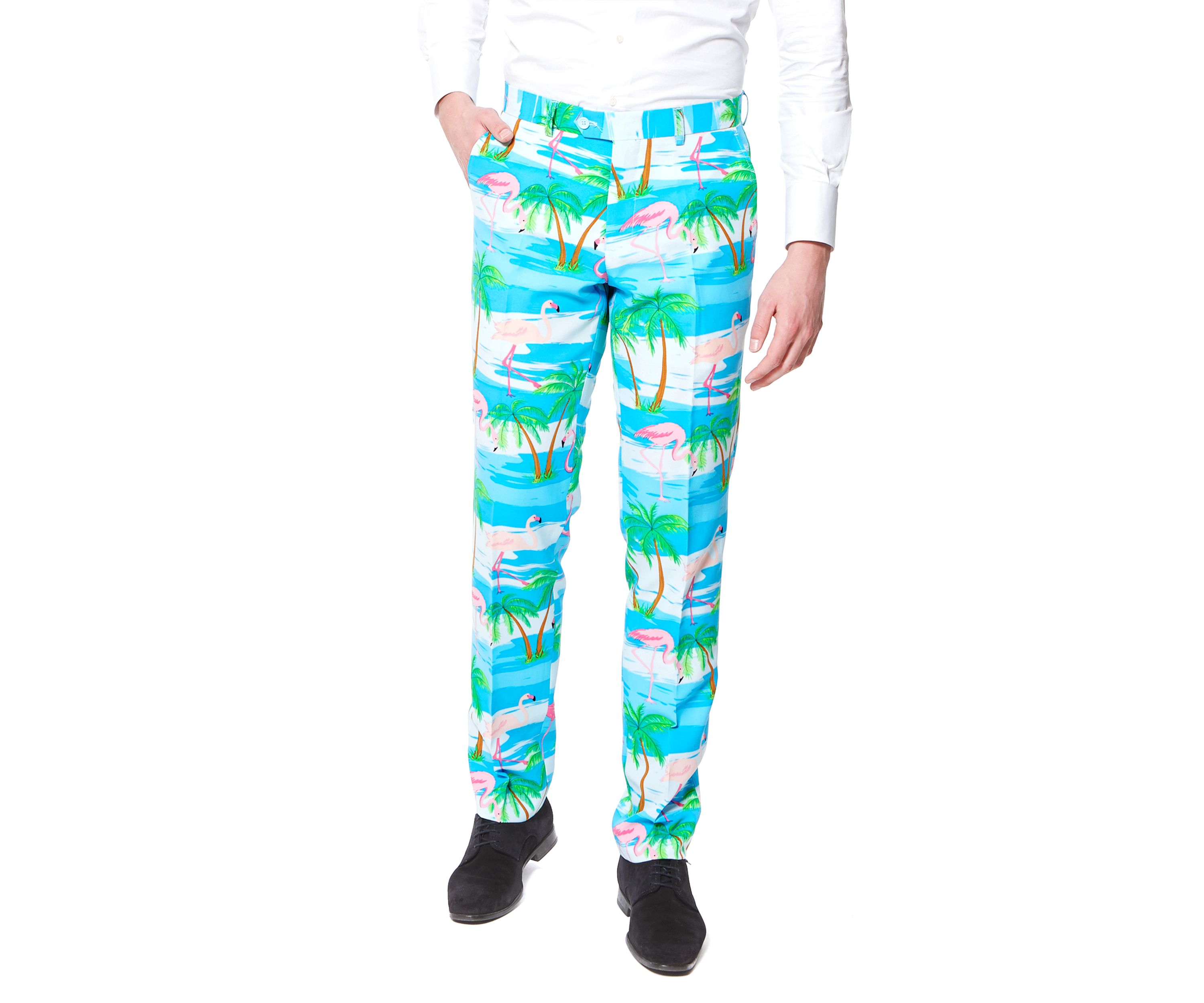 Flaminguy  2 Piece Suit + Tie