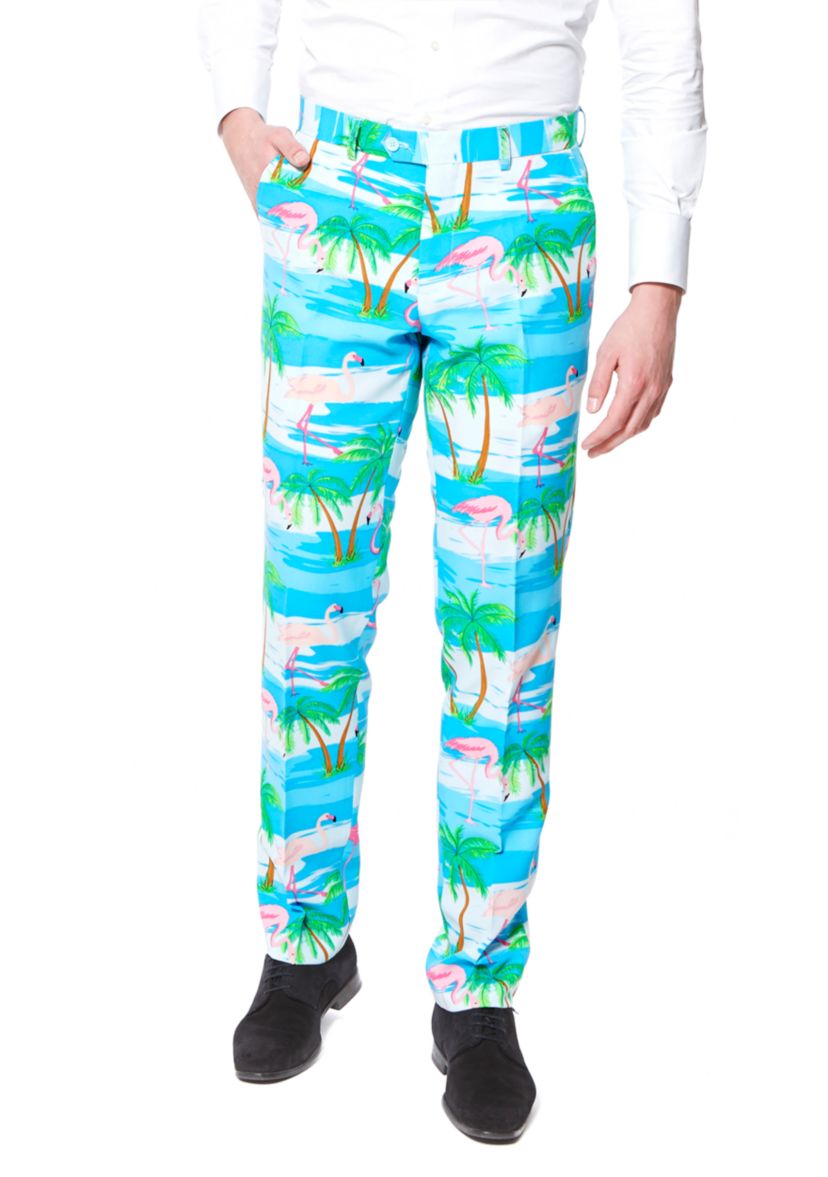 Flaminguy  2 Piece Suit + Tie