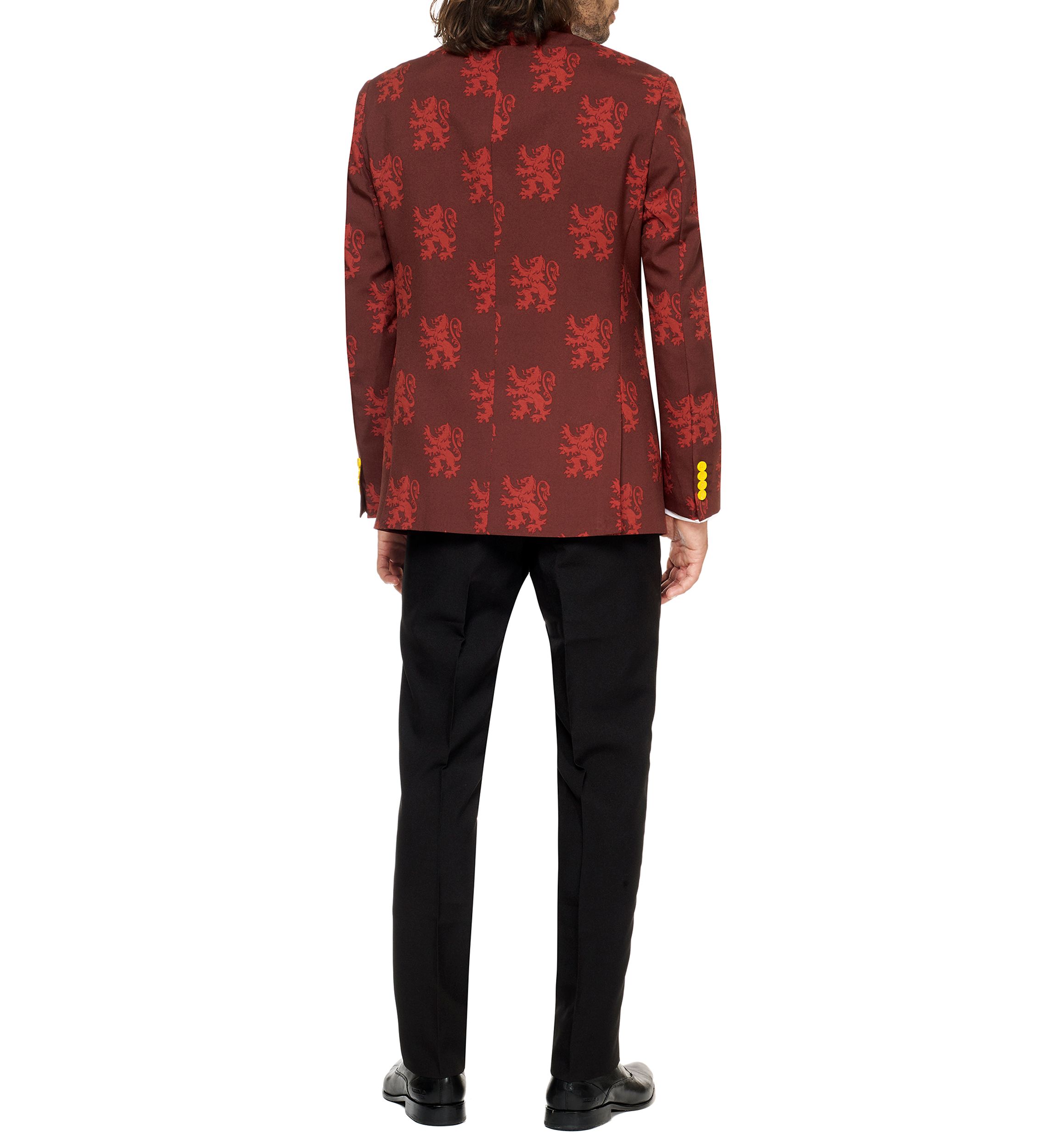 Harry Potter™  2 Piece Suit + Tie