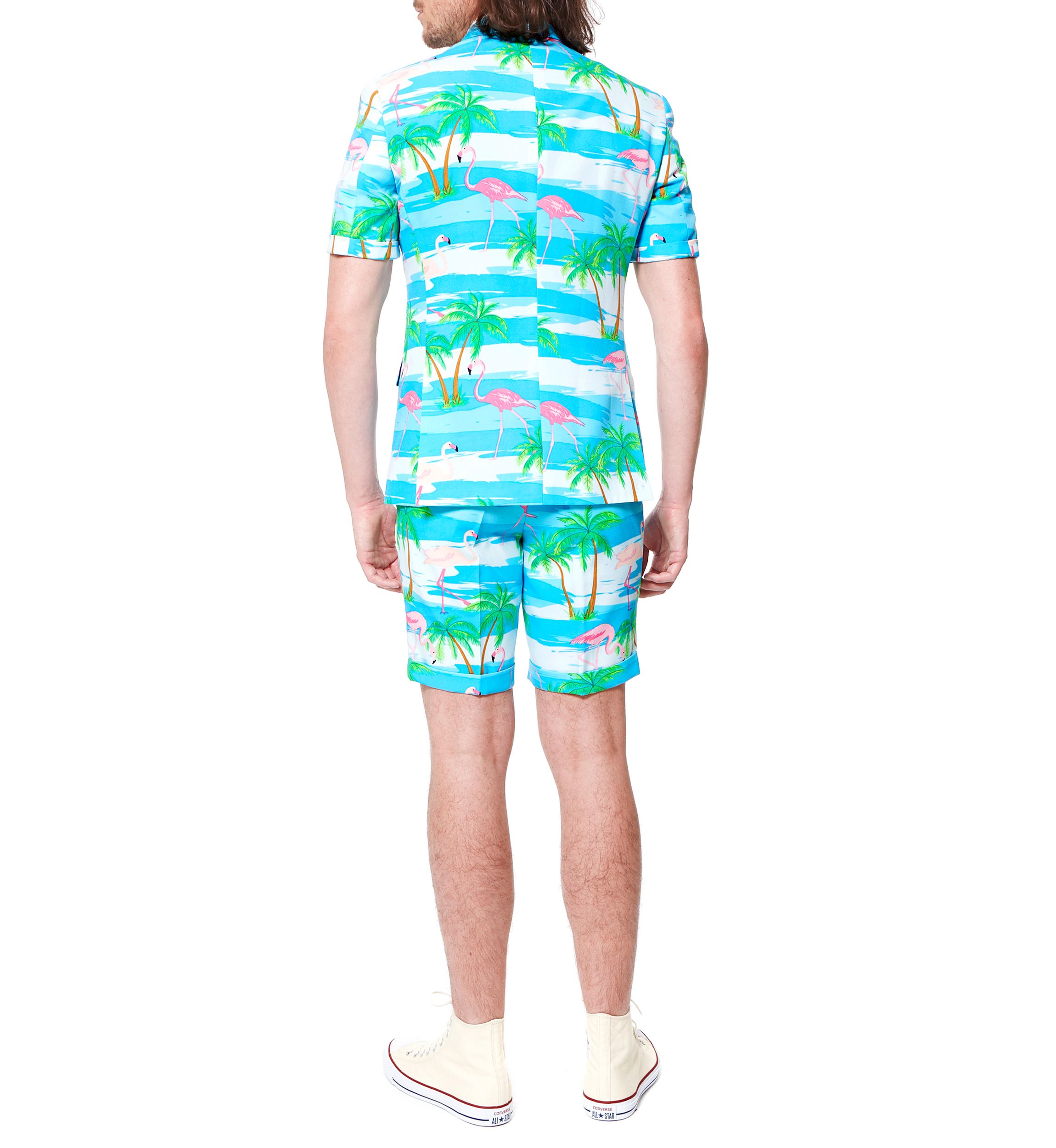 SUMMER Flaminguy  2 Piece Suit + Tie