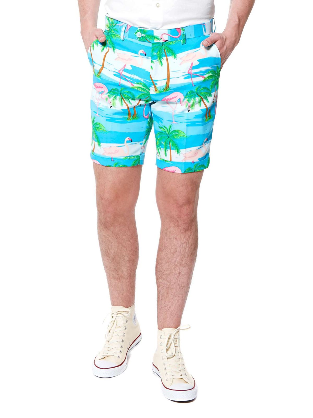 SUMMER Flaminguy  2 Piece Suit + Tie