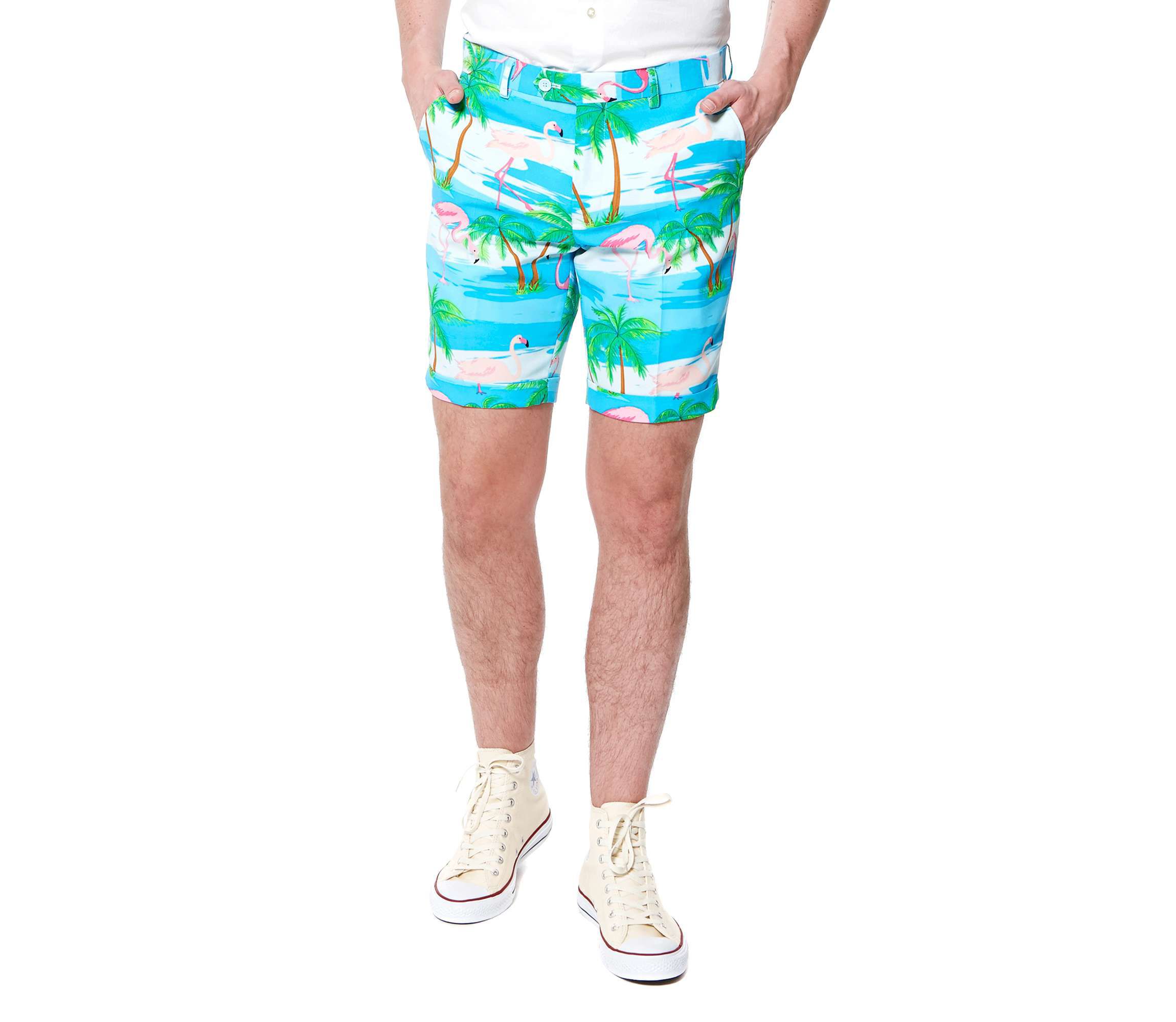 SUMMER Flaminguy  2 Piece Suit + Tie