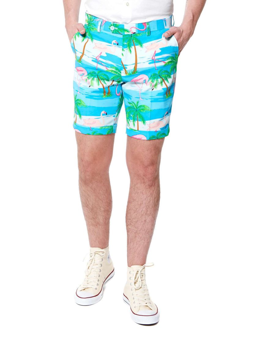 SUMMER Flaminguy  2 Piece Suit + Tie