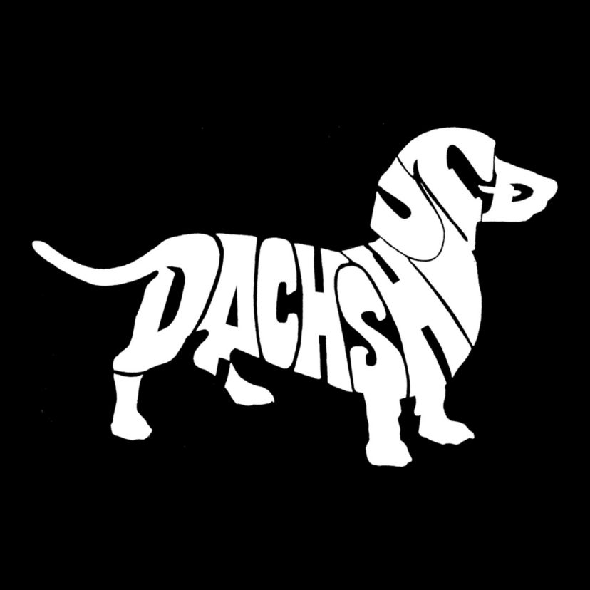 Mens Word Art Hooded Sweatshirt - Dachshund