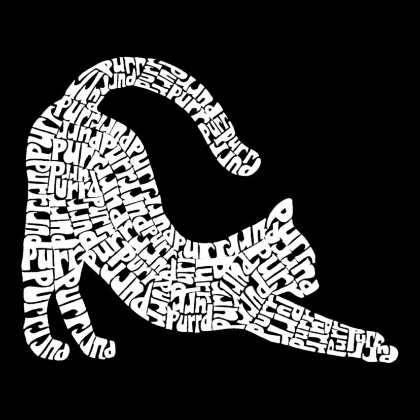 Mens Word Art Hooded Sweatshirt - Stretching Cat