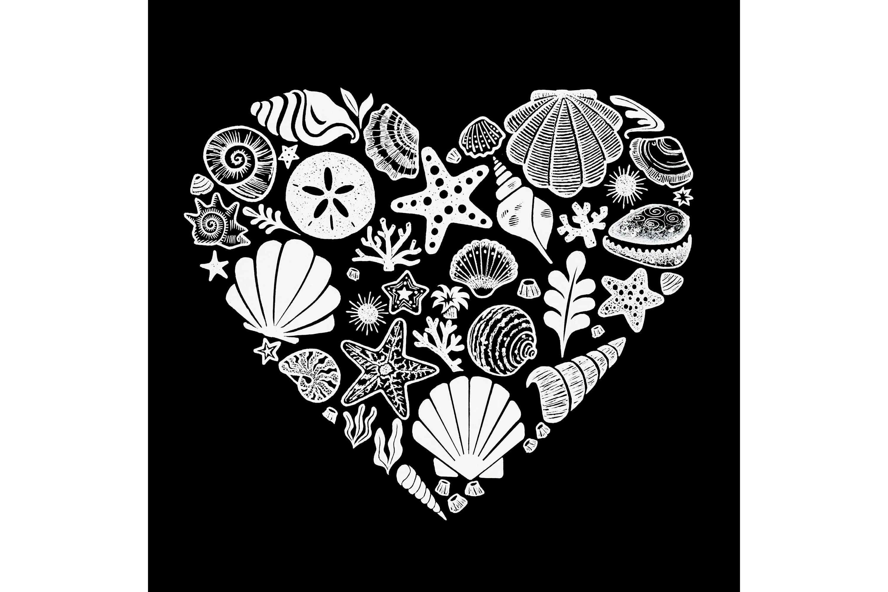 Mens Tall and Long Word Art T-Shirt - Sea Shells