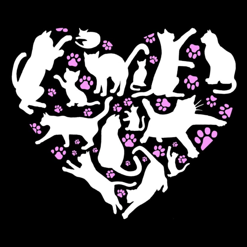 Cat Heart - Mens Word Art Hooded Sweatshirt