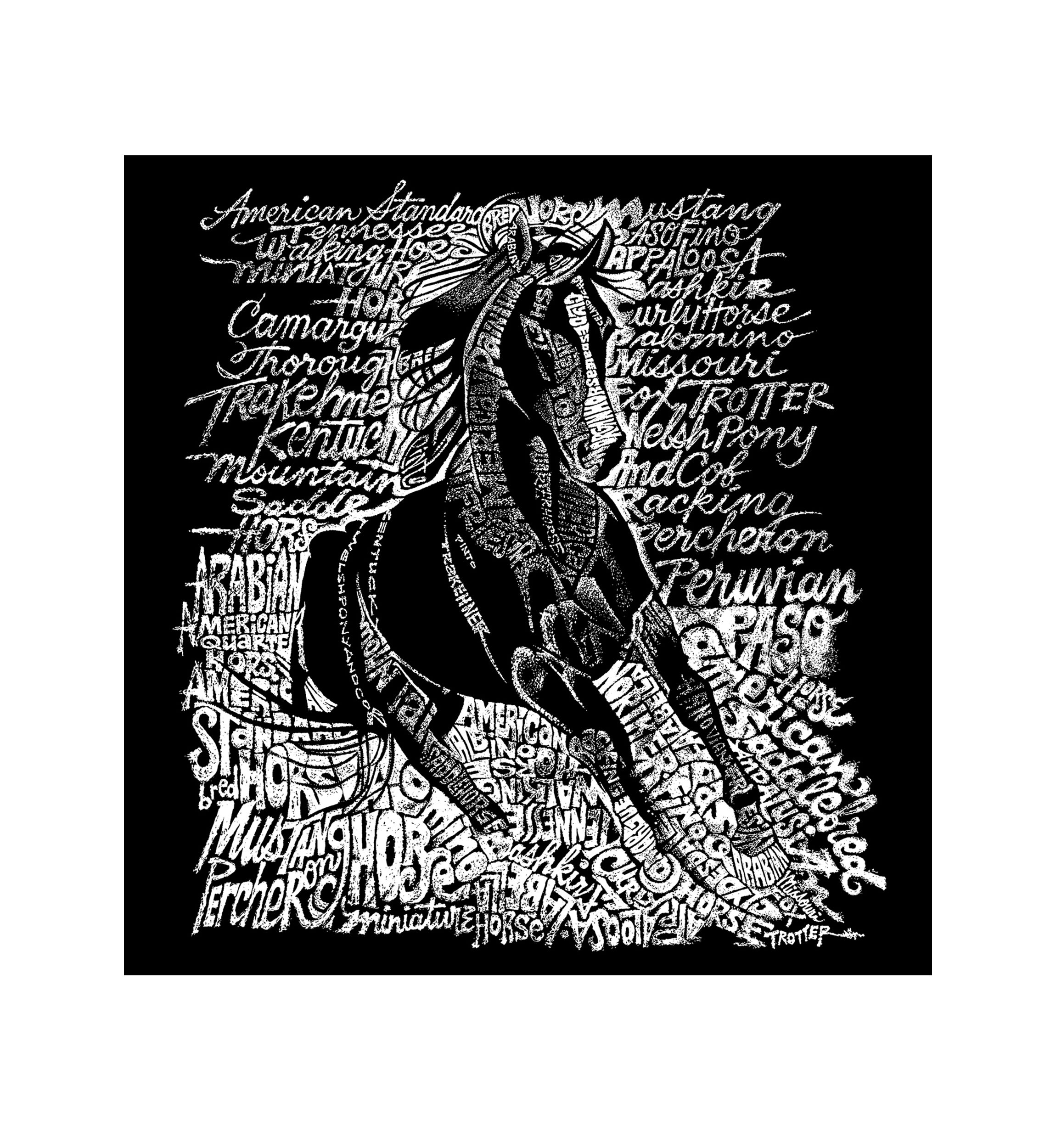Word Art Long Sleeve Graphic T-Shirt - Popular Horse Breeds
