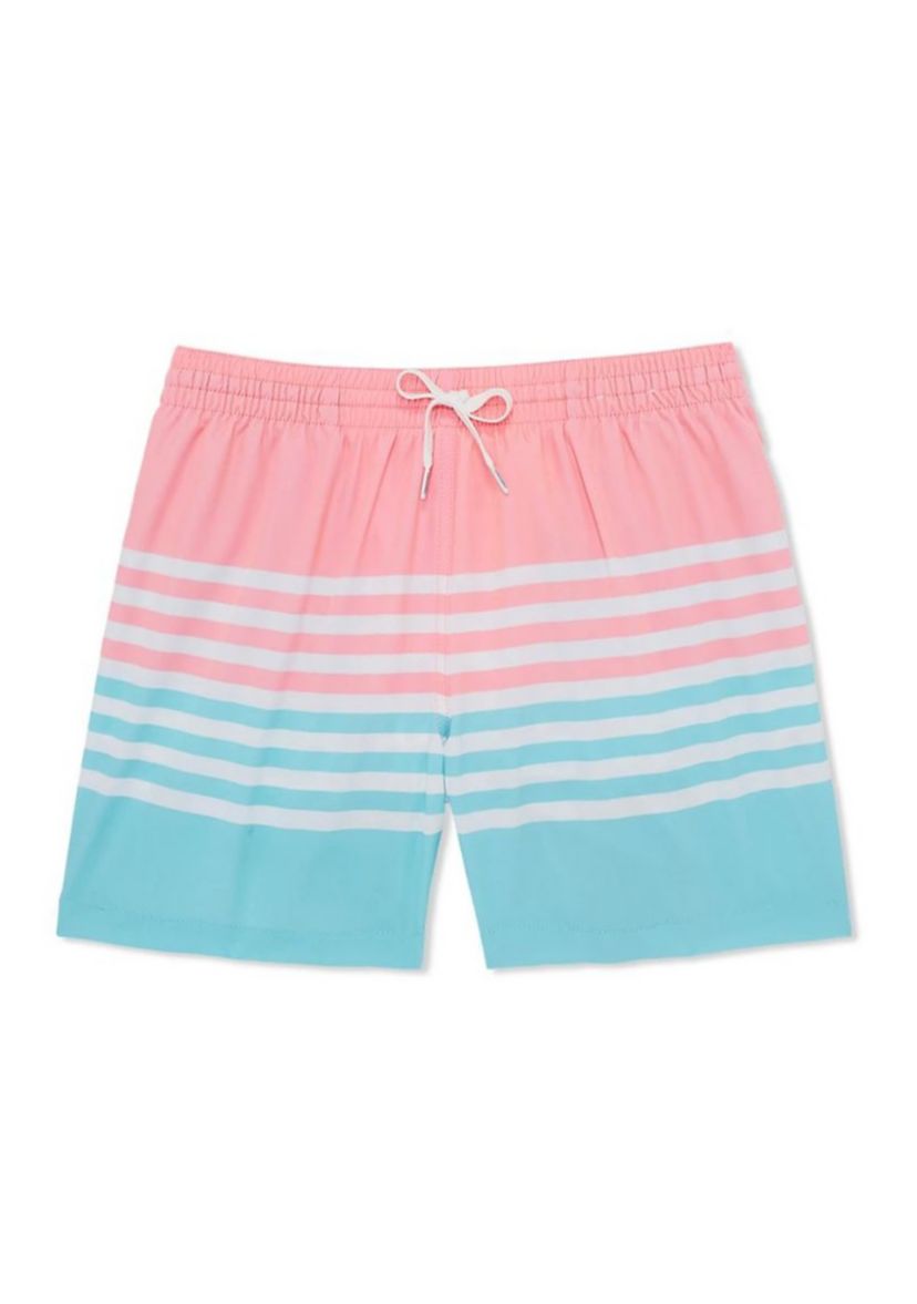 5.5 Inch The On The Horizons Stretch Swim Shorts