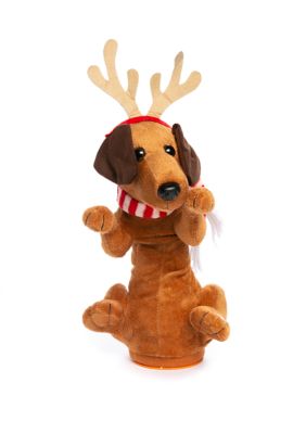 Joyland Dancing Christmas Wiener Dog | belk