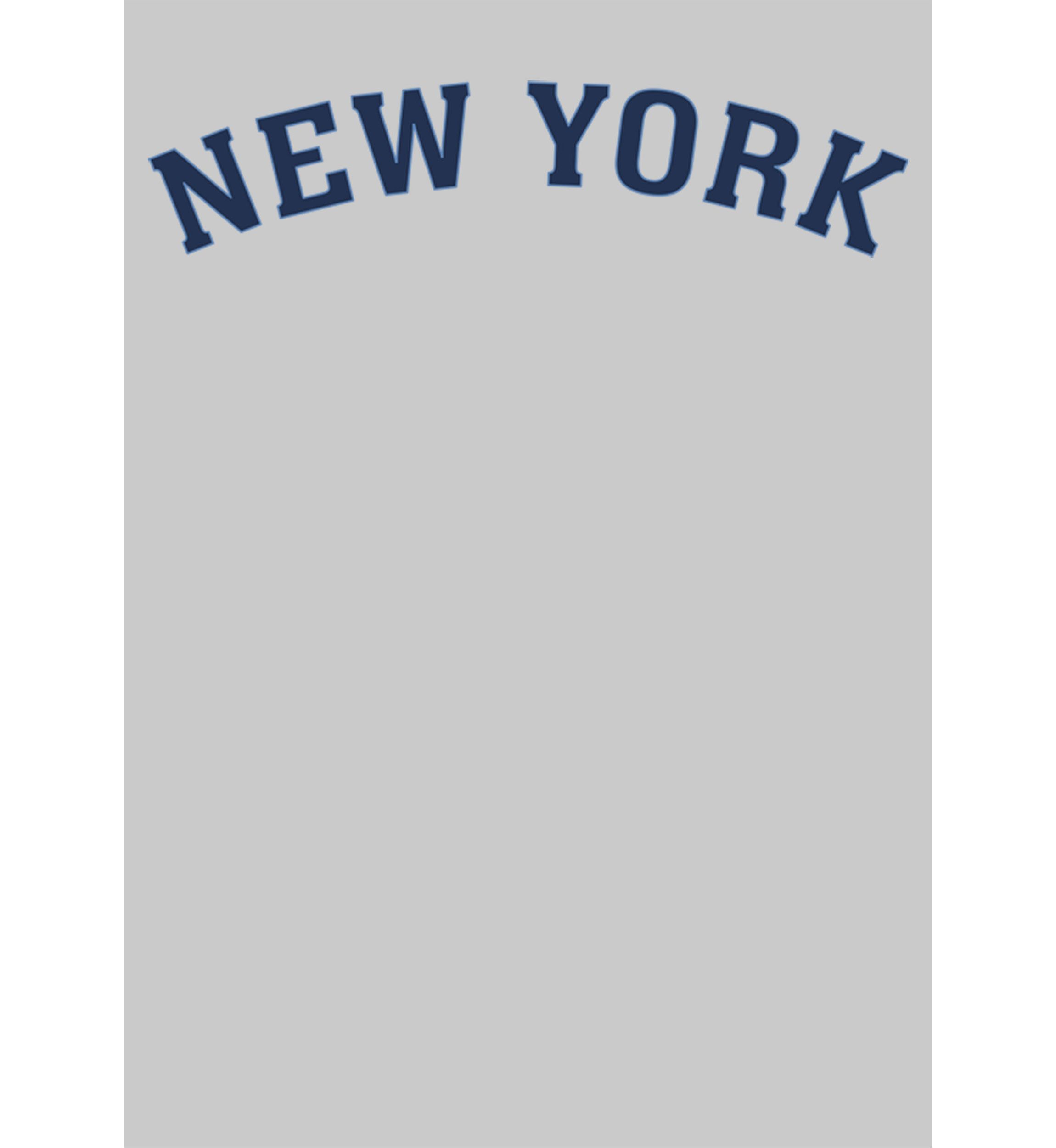 	  Generic New York Lite Arc Fleece Crew Sweater 