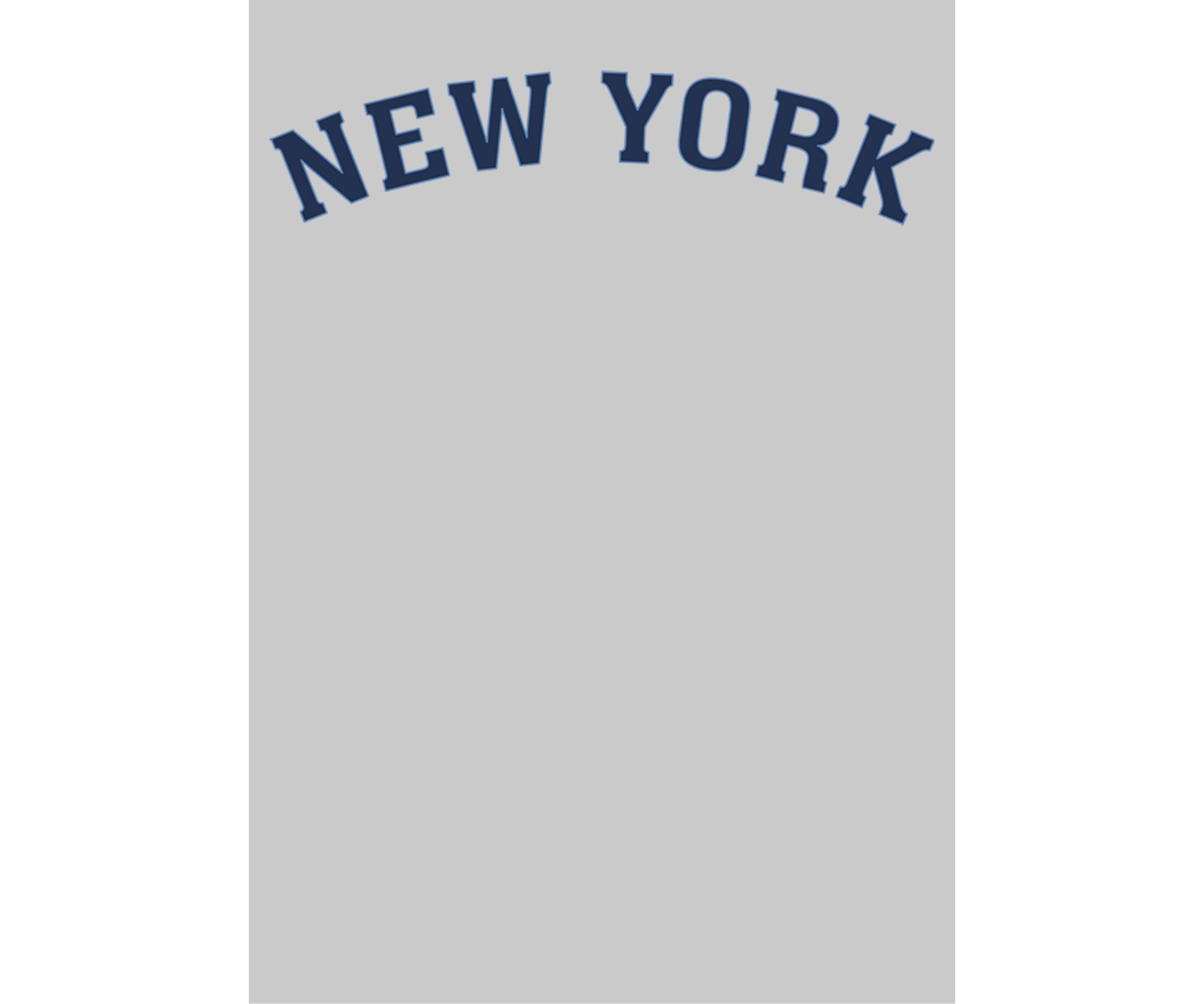 	  Generic New York Lite Arc Fleece Crew Sweater 