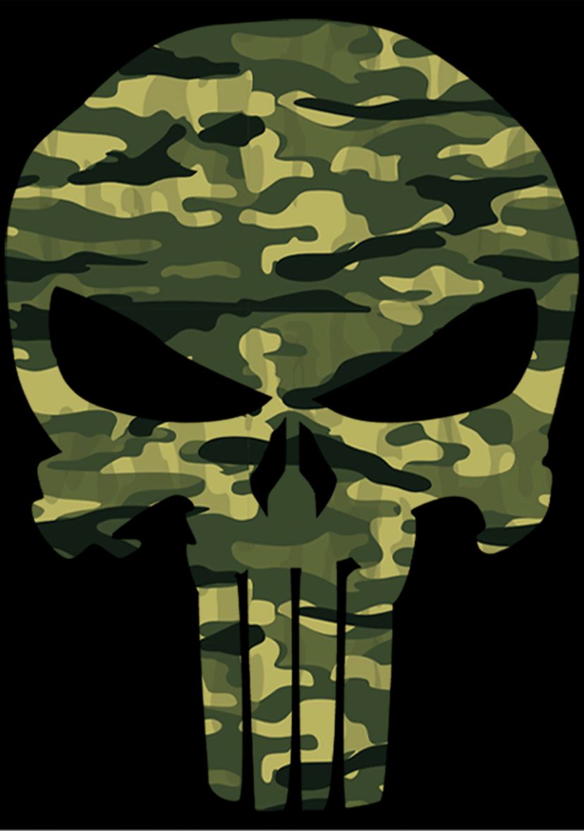 Marvel Punisher Camo Skull T-Shirt