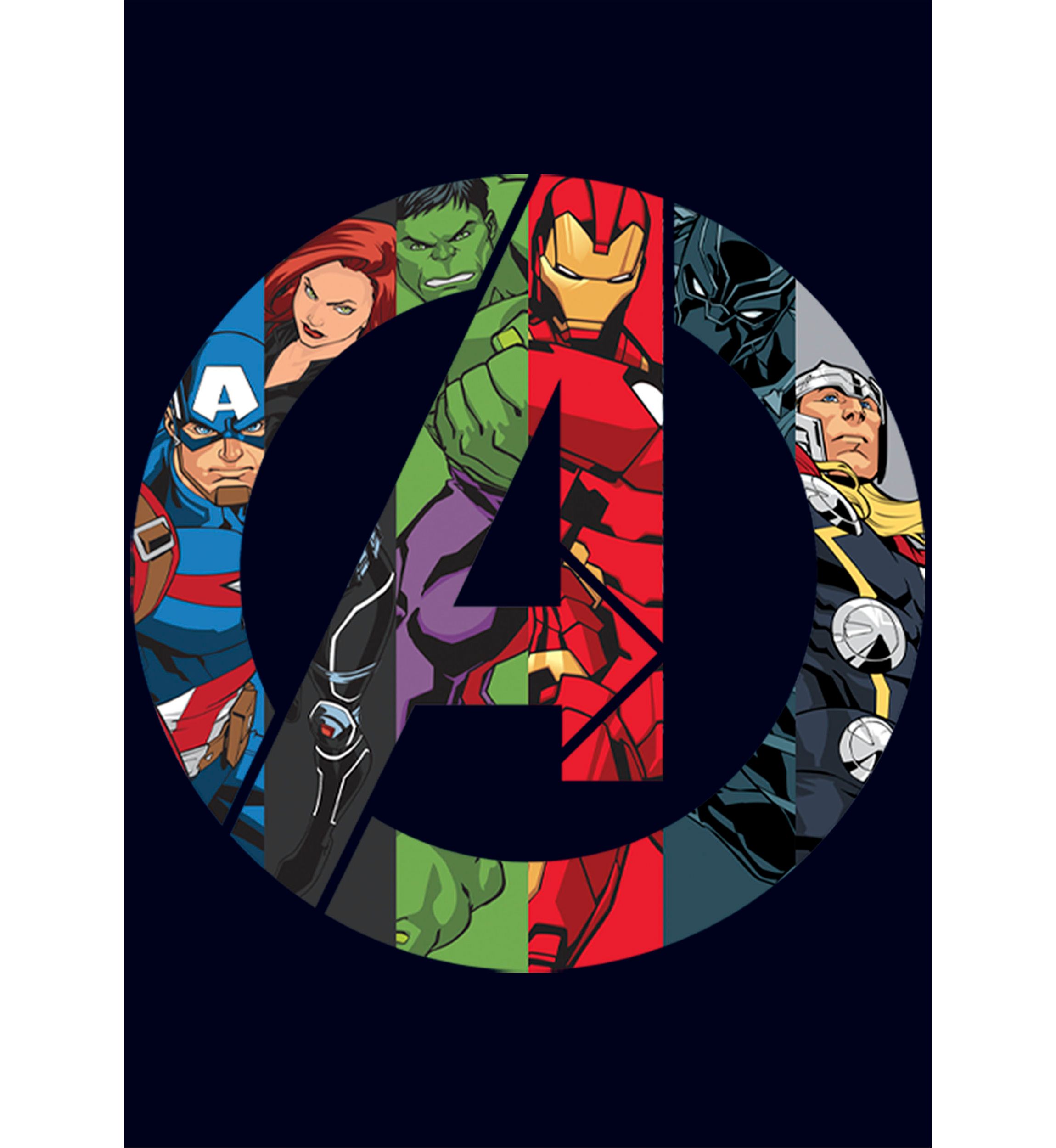 Marvel Avengers Heroes Icon T-Shirt    