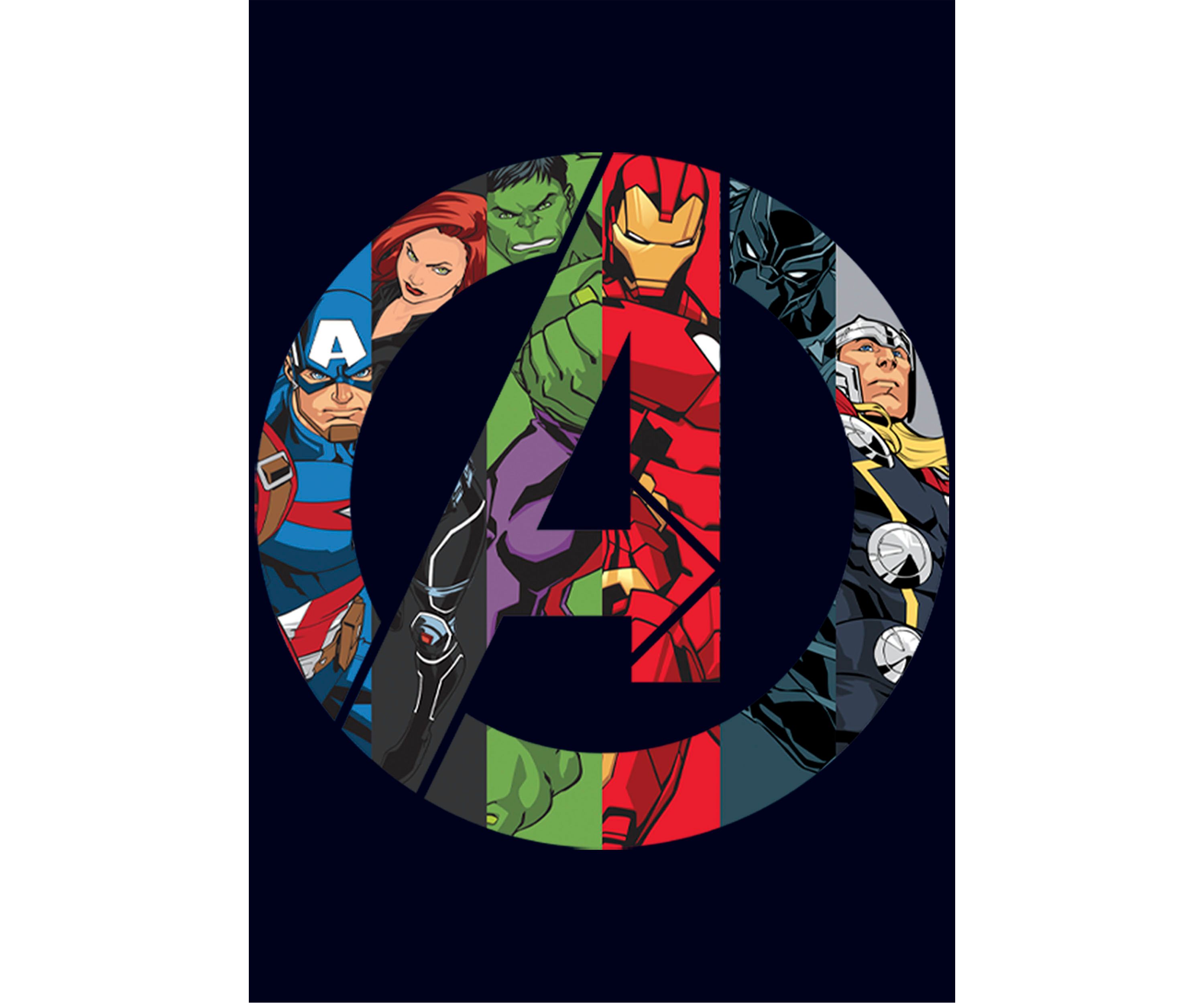 Marvel Avengers Heroes Icon T-Shirt    