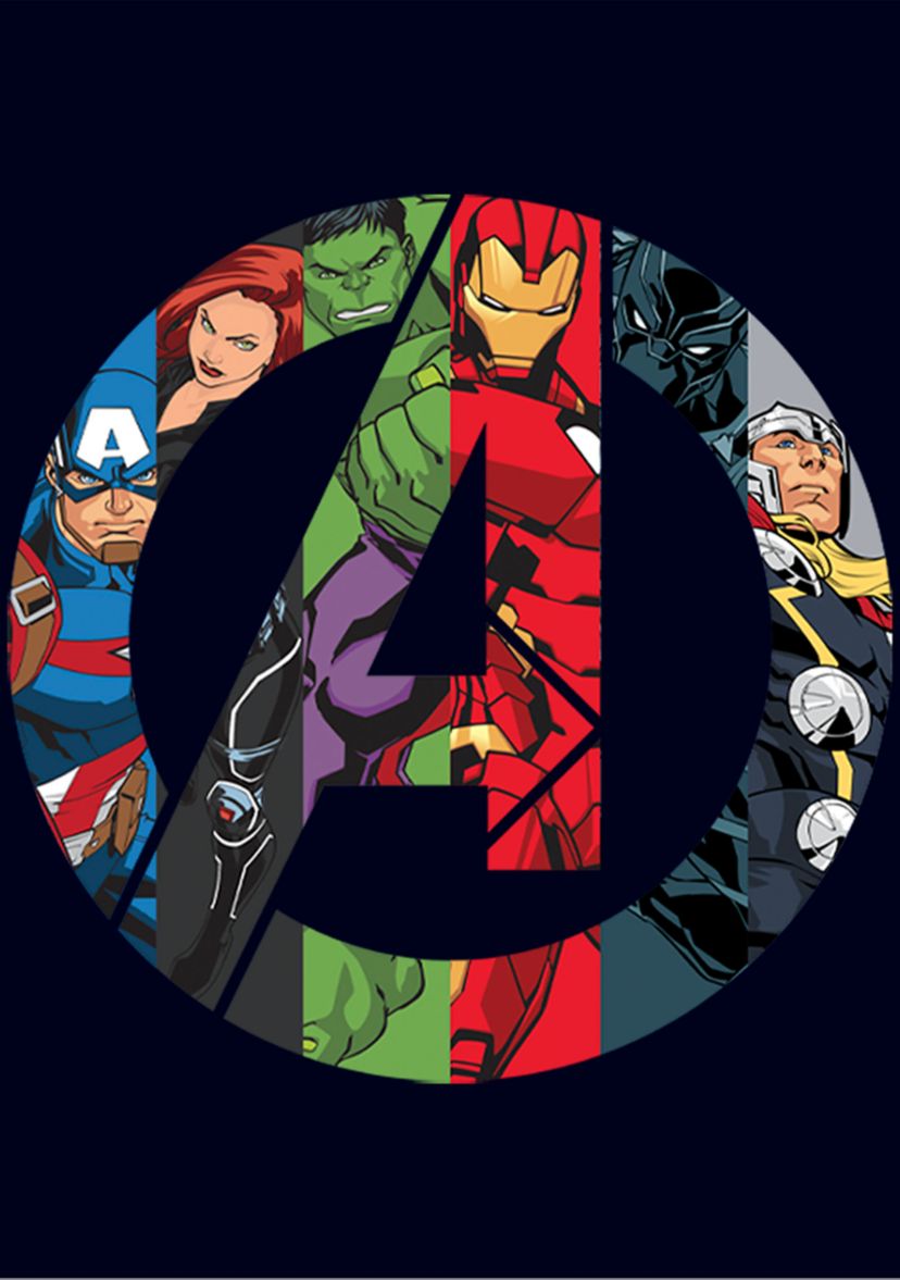 Marvel Avengers Heroes Icon T-Shirt    