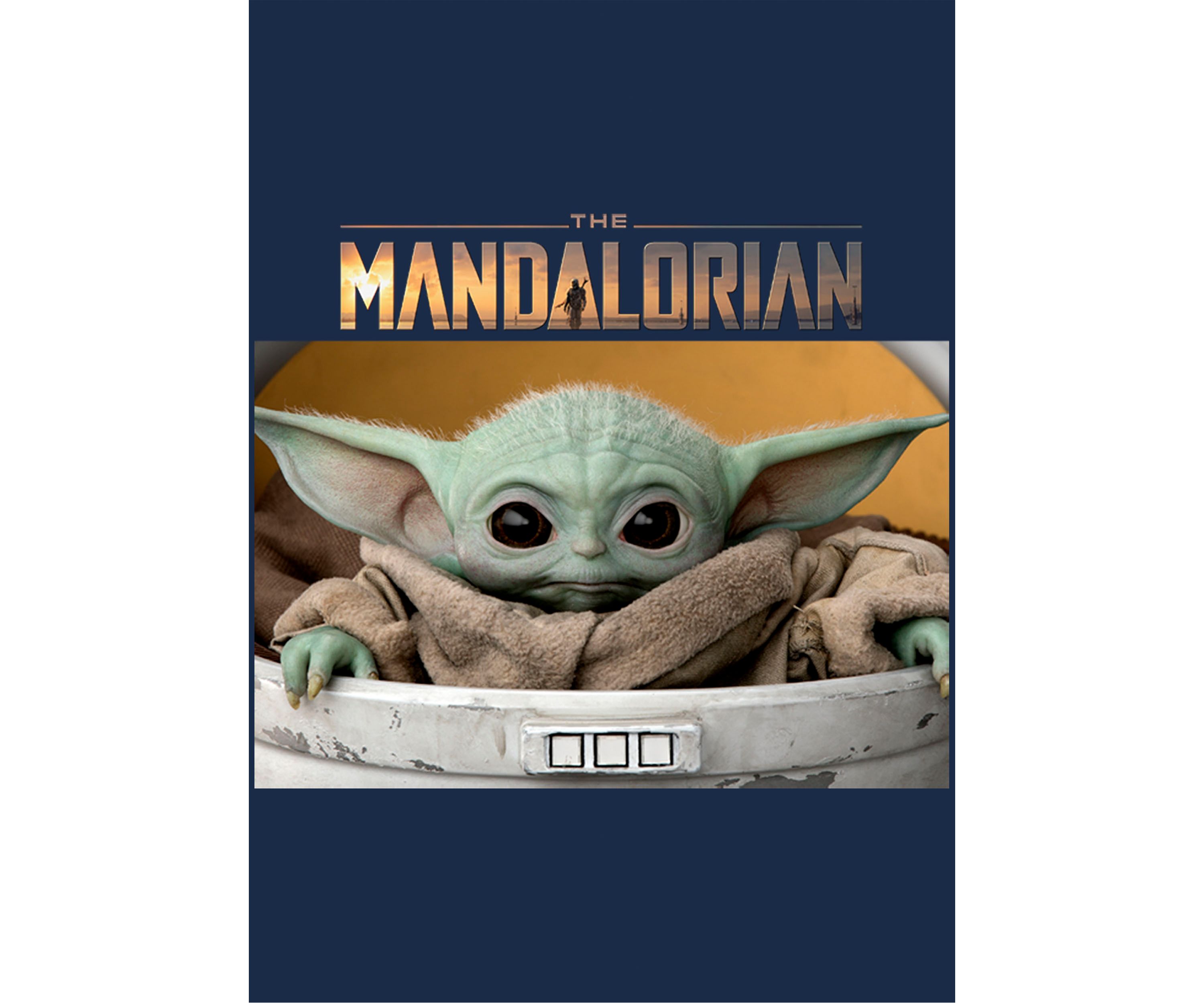 Star Wars The Mandalorian Small Box T-Shirt