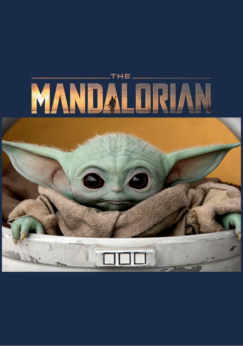 Star Wars The Mandalorian Small Box T-Shirt