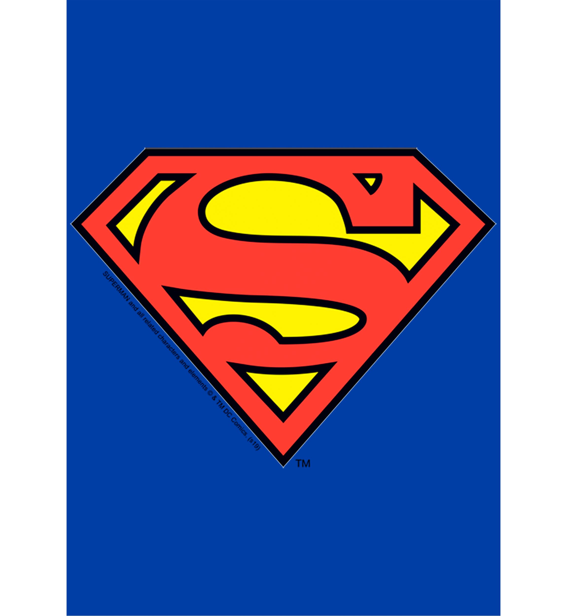 Superman Logo Graphic T-Shirt
