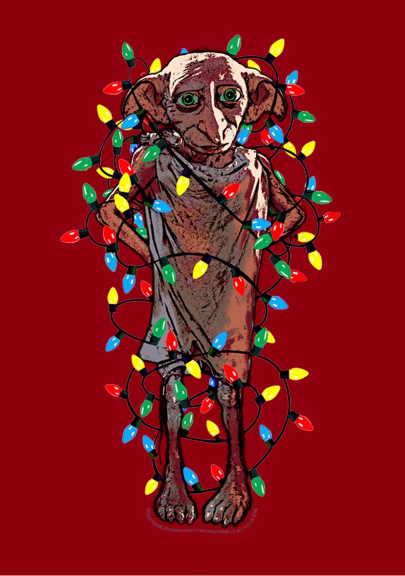Harry Potter Disheveled Dobby Graphic T-Shirt