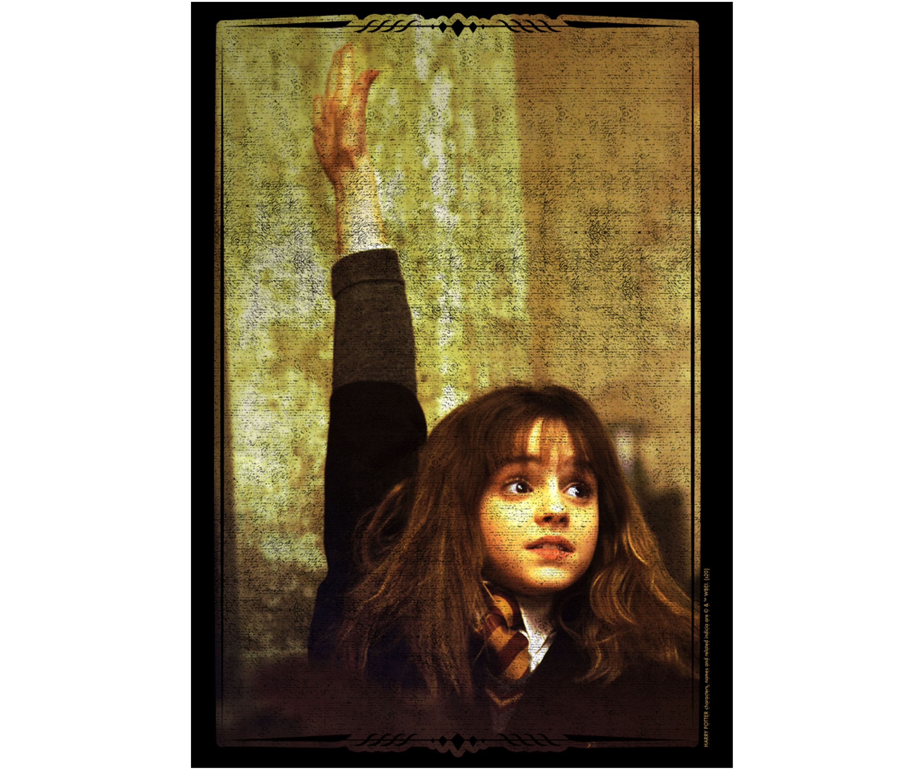 Harry Potter Hermione Hand Raise Graphic T-Shirt