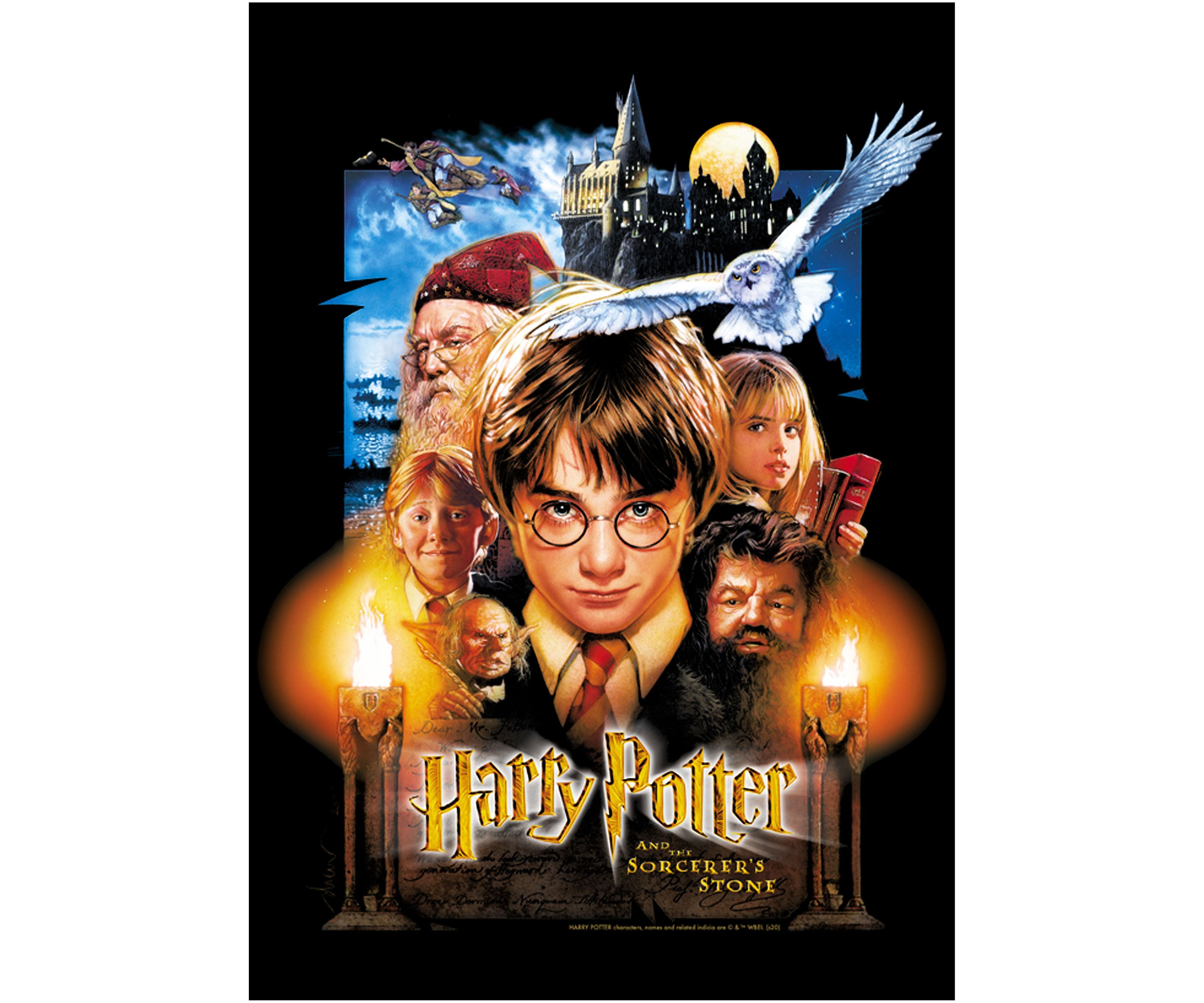 Harry Potter Sorcerers Stone Poster Graphic T-Shirt