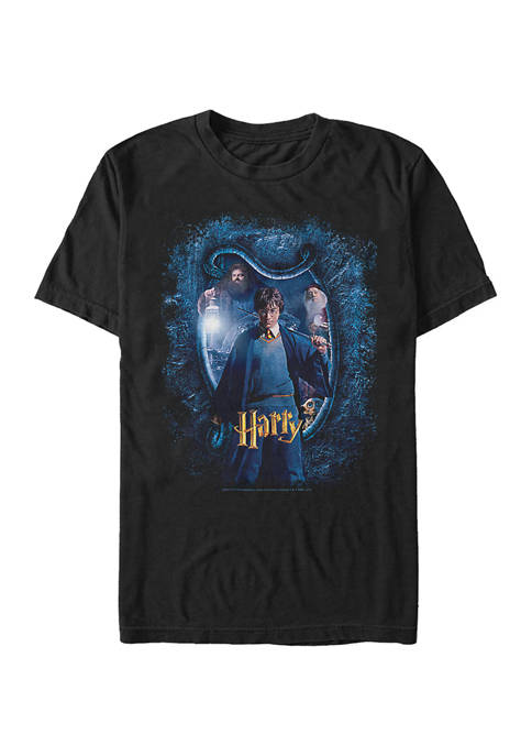 Harry Potter Chamber Harry and Sword Graphic T-Shirt