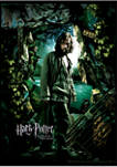 Harry Potter Sirius Azkaban Poster Graphic T-Shirt