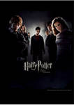 Harry Potter Harry & The Order Graphic T-Shirt