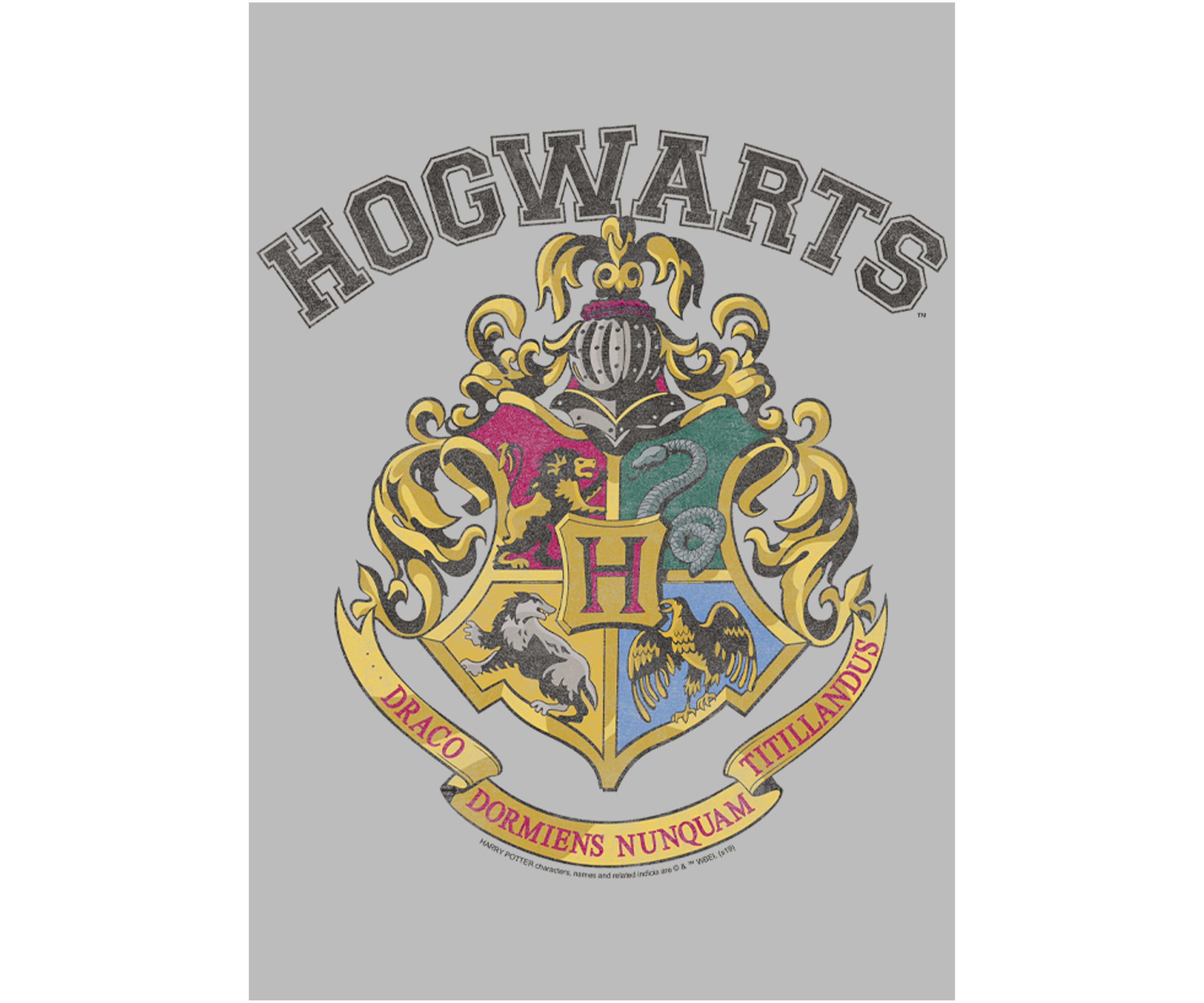  Harry Potter Vintage Logo Graphic T-Shirt