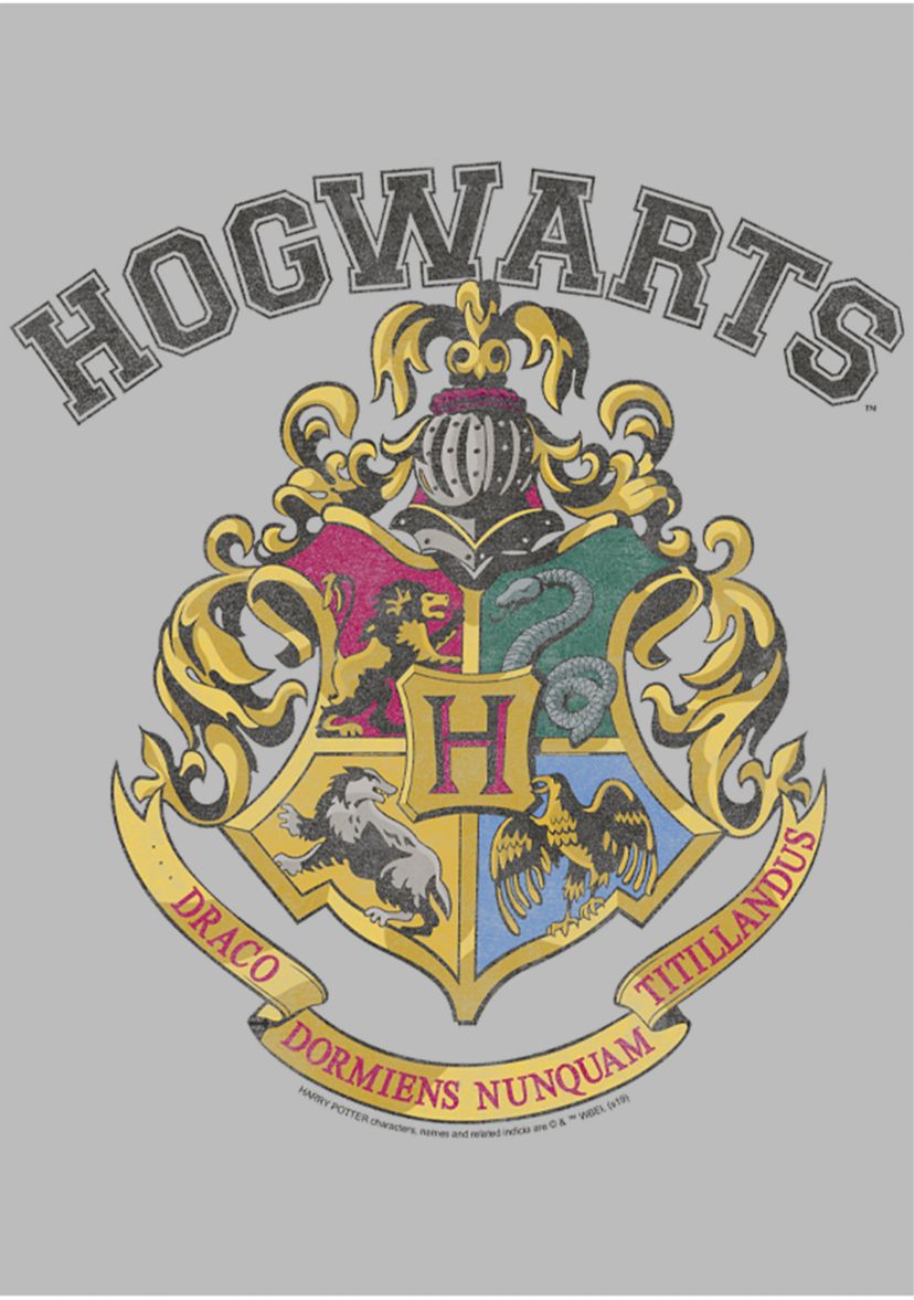  Harry Potter Vintage Logo Graphic T-Shirt