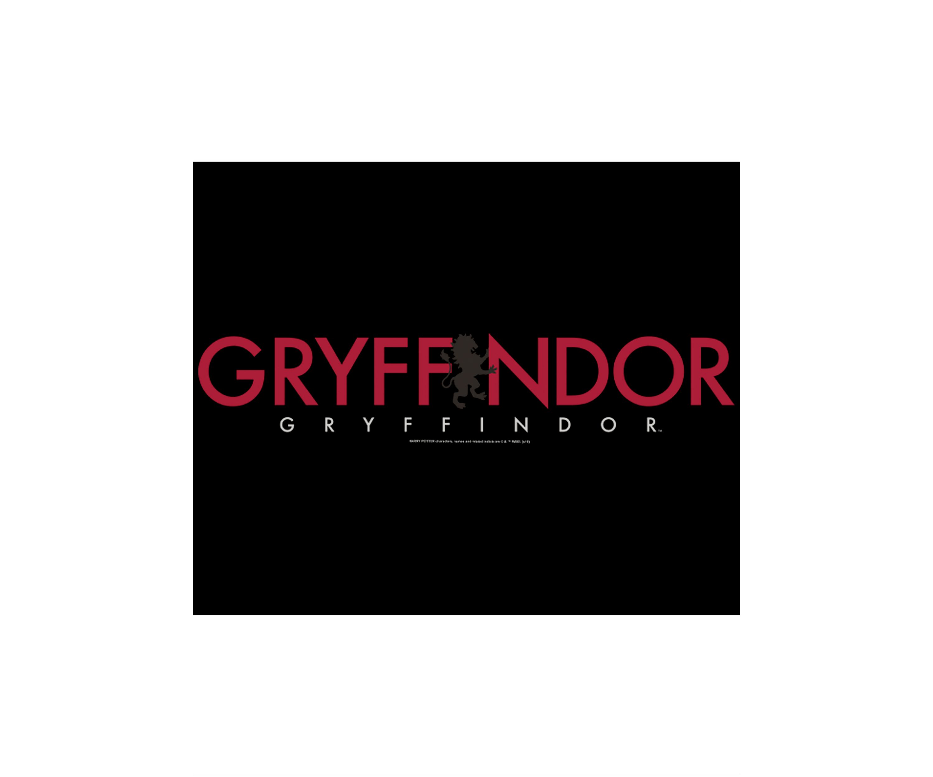  Harry Potter Gryffindor Graphic T-Shirt